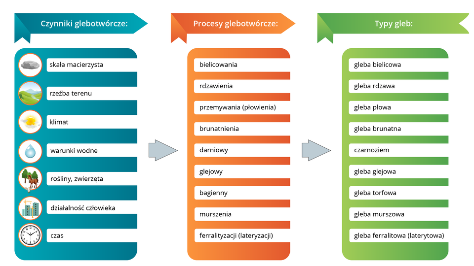 Schemat podzielony jest na trzy kolumny ze strzałkami skierowanymi w prawo. Pierwsza kolumna to czynniki glebotwórcze, druga kolumna to procesy glebotwórcze trzecia kolumna to typy gleb. Pomiędzy poszczególnymi kolumnami są strzałki skierowane w prawo - od jednej kolumny do kolejnej. Pierwsza kolumna: do czynników glebotwórczych zalicza się: skałę macierzystą, rzeźbę terenu, klimat, warunki wodne, rośliny i zwierzęta, działalność człowieka, czas. Druga kolumna i odniesienie do trzeciej: wśród procesów glebotwórczych wyróżnia się: bielicowanie, w wyniku którego powstaje gleba bielicowa, rdzawienie - powstaje gleba rdzawa, w wyniku przemywania – połowienia powstaje gleba płowa, w wyniku brunatnienia powstaje gleba brunatna. Proces glebotwórczy darniowy prowadzi do powstania czarnoziemu, proces glebotwórczy glejowy daje glebę glejową, proces glebotwórczy bagienny glebę torfową. W wyniku murszenia powstaje gleba murszowa, w wyniku ferralityzacji– lateryzacji powstaje gleba ferralitowa – laterytowa. 