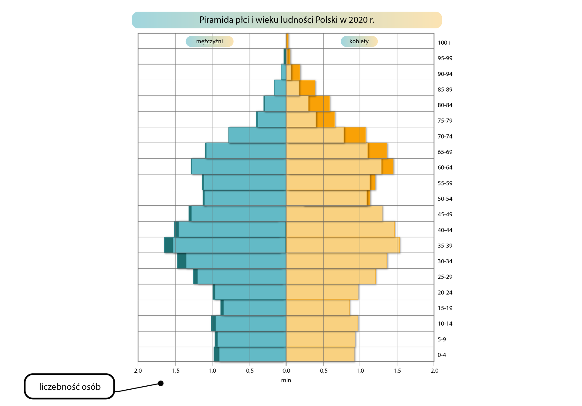 Piramida płci i wieku jest rozrysowana na siatce. Dolna pozioma oś oznacza liczbę ludności w procentach, od 0 w centralnym punkcie rośnie co 1% w lewą i prawą stronę do 7 procent. Oś pionowa oznaczona po prawej stronie określa grupy wiekowe: 0‑4, 5‑9, 10‑14, 15‑19, 20‑24, 25‑29, 30‑34, 35‑39, 40‑44, 45‑49, 50‑54, 55‑59, 60‑64, 65‑69, 70‑74, 75‑79, 80‑84, 85‑89, 90‑94, 95‑99, 100+. Piramida ma dwa kolory. Po lewej stronie wartości oznaczone są kolorem niebieskim dane mężczyzn, a po prawej – żółtym dane dla kobiet. Kolorem ciemnożółtym i ciemnoniebieskim oznaczone są różnice w danych dotyczących płci. Dolną część piramidy (oznaczającą najmłodsze grupy wiekowe) określa się jako podstawę, a górną (oznaczającą grupy najstarsze) - wierzchołek. W Polsce w 2020 roku najwięcej było osób w wieku produkcyjnym od 20 do 64 roku życia z niewielką przewagą mężczyzn. W wieku poprodukcyjnym widoczna jest znacząca przewaga kobiet (różnica nawet 1%). W przedziale wiekowym 35‑39 na ciemnoniebieskim polu znajduje się czarna kropka połączona kreską z napisem w czarnej ramce „Nadwyżka mężczyzn nad kobietami”. W przedziale wiekowym 80‑84 na ciemnożółtym polu znajduje się czarna kropka połączona kreską z napisem w czarnej ramce „Nadwyżka kobiet nad mężczyznami”.
