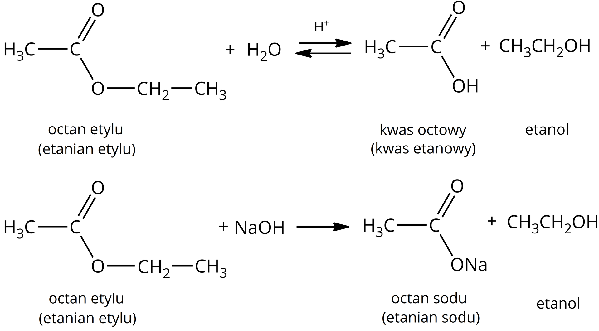Ilustracja przedstawiająca dwa równania reakcji chemicznych z doświadczenia. Pierwsze równanie reakcji hydrolizy kwasowej estru. Cząsteczka octanu etylu, to jest etanianu etylu zbudowana z grupy CH3 związanej z atomem węgla połączonym za pomocą wiązania podwójnego z atomem tlenu i za pomocą wiązania pojedynczego z drugim atomem tlenu podstawionym grupą CH2CH3. Dodać cząsteczkę wody. Strzałki równowagowe, nad strzałkami kation H3O+. Za strzałkami cząsteczka kwasu karboksylowego zbudowanego z grupy CH3 związanej z atomem węgla połączonym za pomocą wiązania podwójnego z atomem tlenu oraz za pomocą wiązania pojedynczego z grupą hydroksylową OH. Dodać cząsteczka alkoholu, etanolu zbudowana z podstawnika etylowego CH2CH3 połączonego z grupą hydroksylową OH. Drugie równanie hydrolizy zasadowej estru, etanianu etylu. Cząsteczka octanu etylu zbudowana z grupy CH3 związanej z atomem węgla połączonym za pomocą wiązania podwójnego z atomem tlenu i za pomocą wiązania pojedynczego z drugim atomem tlenu podstawionym grupą etylową CH2CH3. Dodać cząsteczkę wodorotlenku sodu NaOH. Strzałka w prawo, nad strzałką cząsteczka wody. Za strzałką sól kwasu karboksylowego, octanu sodu, czyli etanianu sodu zbudowanego z grupy CH3 związanej z atomem węgla połączonym za pomocą wiązania podwójnego z atomem tlenu oraz za pomocą wiązania pojedynczego z drugim atomem tlenu podstawionym atomem sodu Na. Dodać cząsteczka alkoholu, etanolu zbudowana z podstawnika etylowego CH2CH3 połączonego z grupą hydroksylową OH.