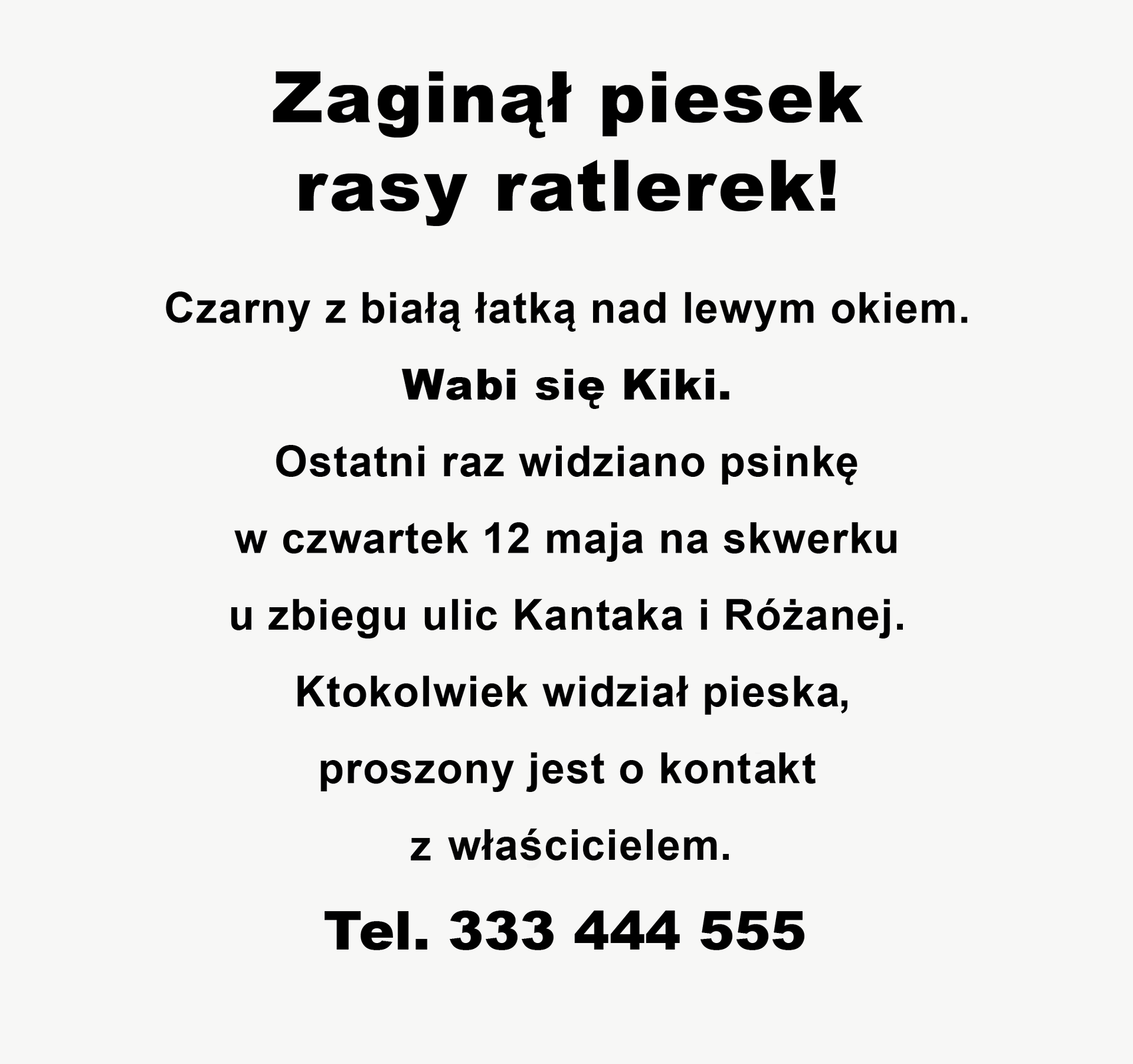 Grafika przedstawia treść ogłoszenia: Zaginął piesek rasy ratlerek! Czarny z białą łatką nad lewym okiem. Wabi się Kiki. Ostatni raz widziano psinę w czwartek 12 maja na skweru ulic Kantaka i Różanej. Ktokolwiek widział pieska, proszony jest o kontakt z właścicielem. Tel. 333 444 555.