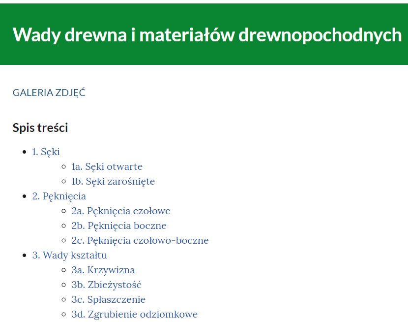 Grafika przedstawia przykładowy spis treści w galerii zdjęć. Spis ten składa się z uporządkowanych tytułów i podtytułów.
