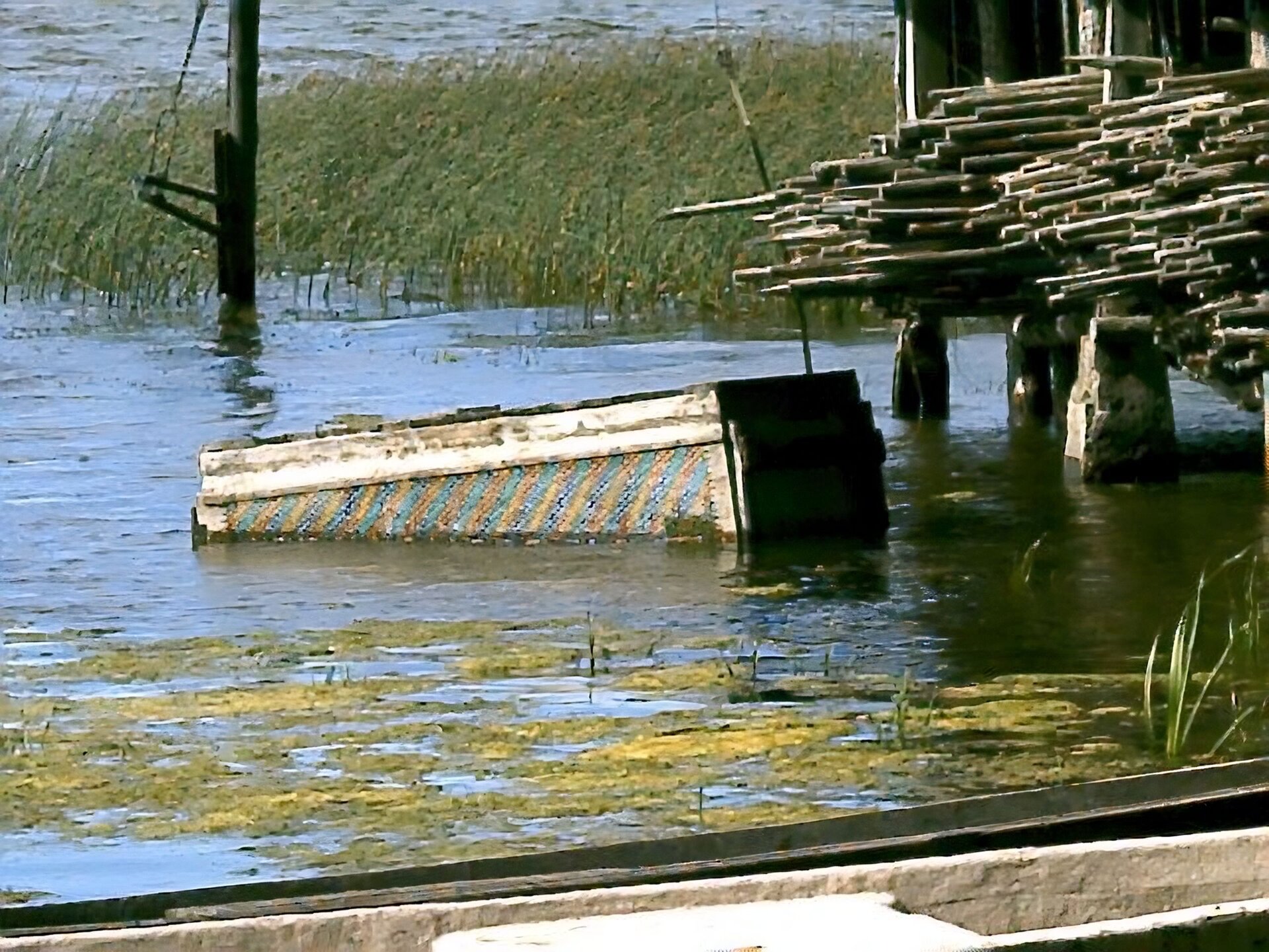 Kliknij, aby powiększyć. Zdjęcie przedstawia fragment jeziora i jego brzegu. W wodzie znajduje się na wpół zatopiona podłużna skrzynia. Na lądzie widać szereg wąskich drewnianych pali.