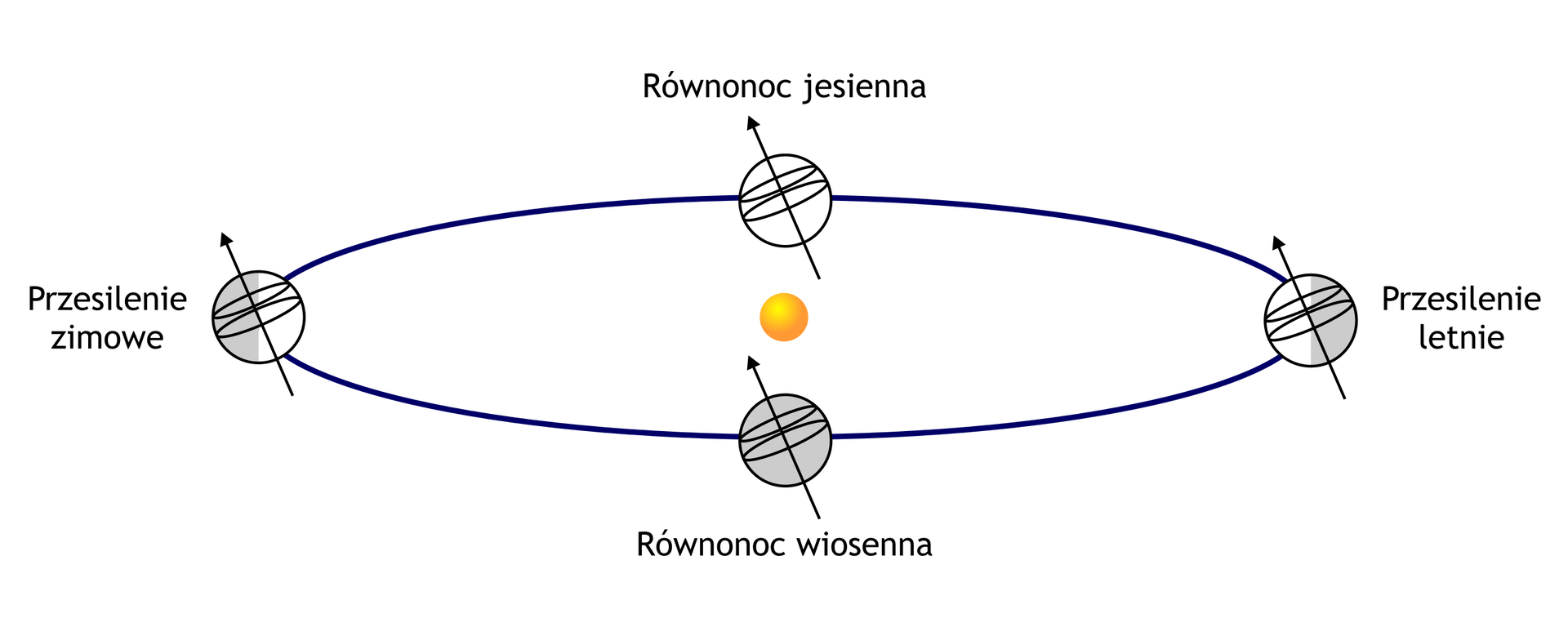 Ilustracja przedstawia Słońce wokół którego narysowany jest niebieski okrąg, oznaczający orbitę Ziemi. Ziemia jest narysowana w czterech miejscach na orbicie, na stronie: północnej, gdzie jest całkowicie oświetlona, wschodniej, gdzie oświetlona jest zachodnia część, południowej, gdzie cała kula jest zaciemniona i zachodniej gdzie oświetlona jest wschodnia część. opisanych jako przesilenie zimowe, równonoc jesienna, przesilenie letnie i równonoc wiosenna. 
