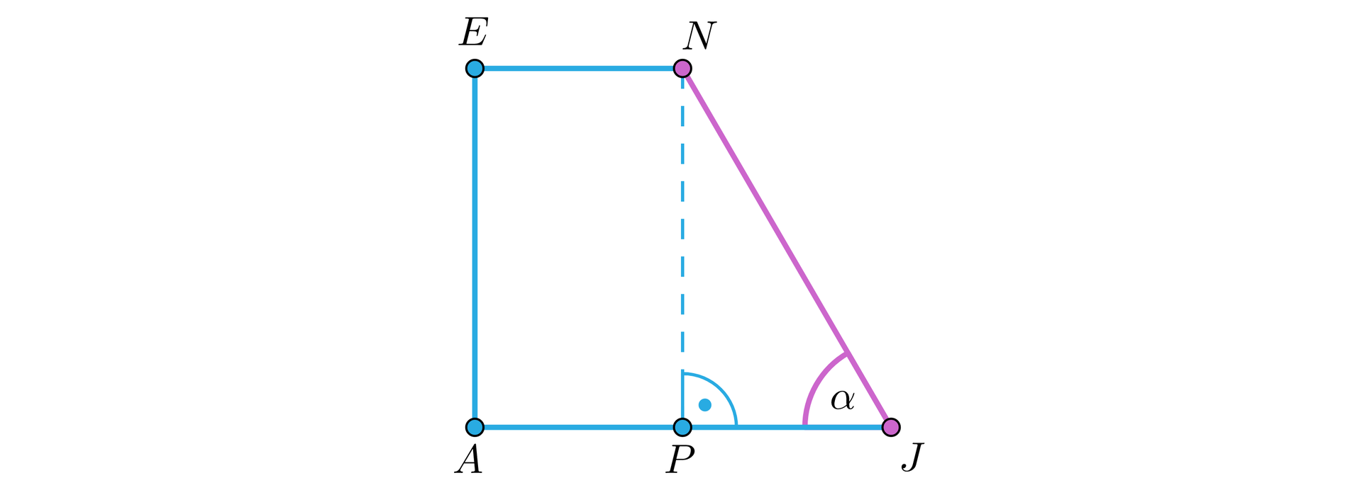 Na ilustracji przedstawiono trapez prostokątny AJNE, o kącie prostym przy wierzchołku A. Dłuższą podstawę oznaczono AJ, a krótszą EN. Linią przerywaną, z wierzchołka N poprowadzono wysokość trapezu, której spodek leży w punkcie P, na podstawie AJ. Kąt w trapezie, przy wierzchołku J, oznaczono alfa.