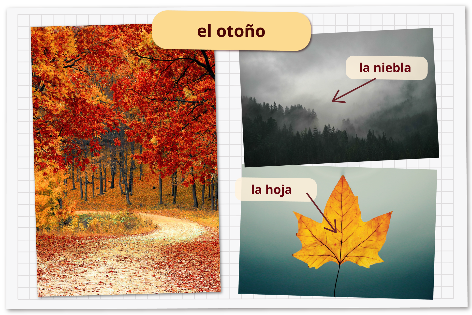 Grafika zatytułowana el otoño składa się z trzech zdjęć. Na pierwszym widoczna jest dróżka w parku lub lesie otoczona drzewami z liśćmi w kolorach jesiennych. Na drugim zdjęciu jest widok z góry na las pokryty mgłą. Podpis: la niebla. Na trzecim zdjęciu widoczny jest pomarańczowy liść klonu. Podpis: la hoja.