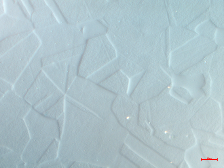 Ilustracja przedstawia mikrostrukturę austenityczną w powiększeniu dwustukrotnym. Mikrostruktura jest biała z wielokątnymi nieregularnymi wgłębieniami w jej powierzchni.