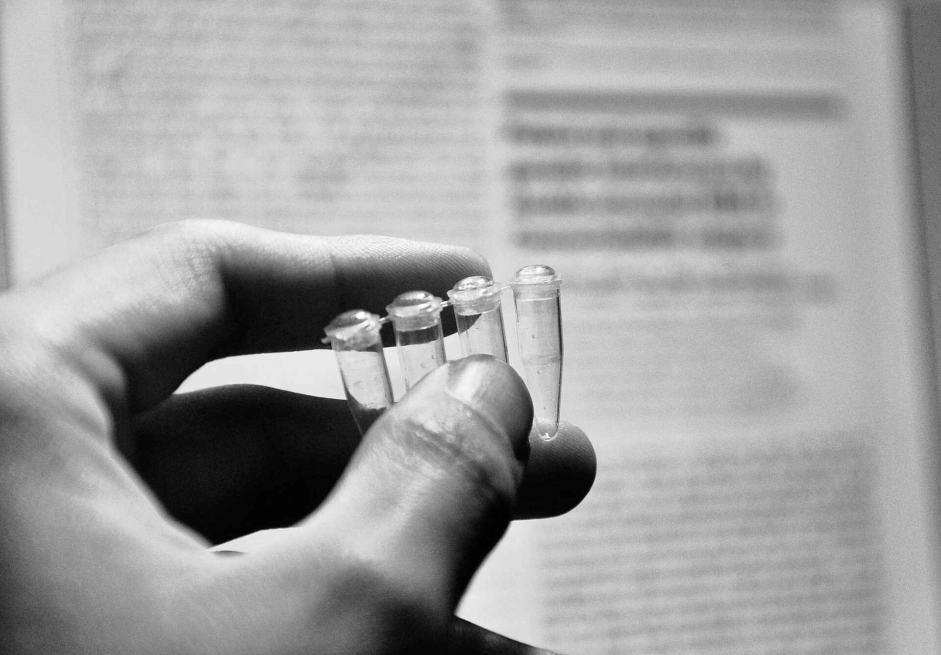 Fotografia przedstawia dłoń człowieka, który trzyma cztery małe, przezroczyste, zamykane probówki typu eppendorf. Można w nich przeprowadzać reakcje inżynierii genetycznej.