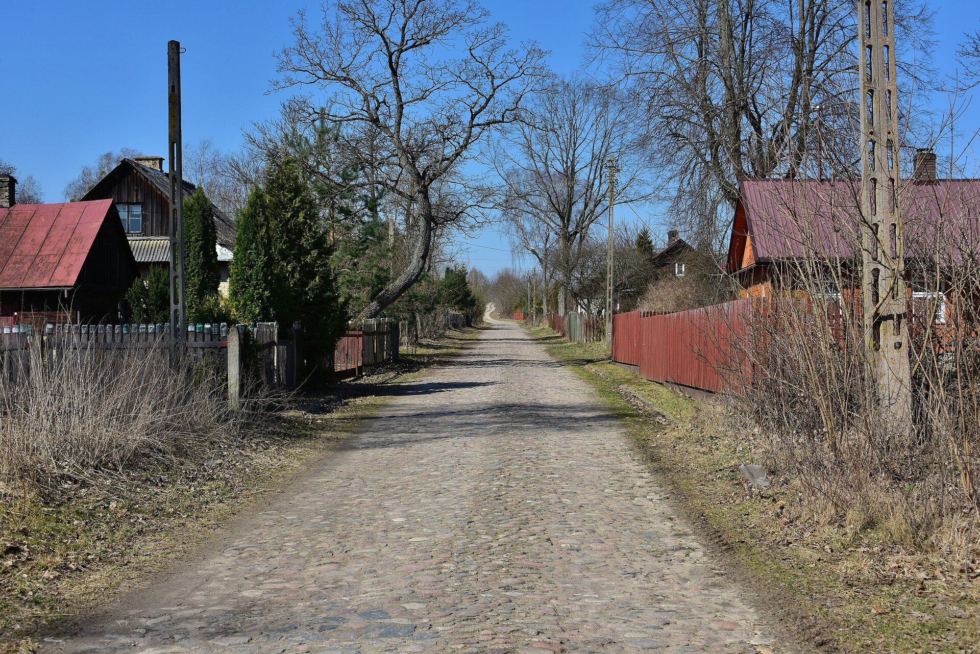 Zdjęcie przedstawiające krajobraz wiejski. W centralnej cześć kadru biegnie prosta droga, po bokach stoją przy niej stare małe domy. Zabudowania od drogi oddzielają drewniane płoty. Wokół domów i wzdłuż ulicy rosną drzewa.