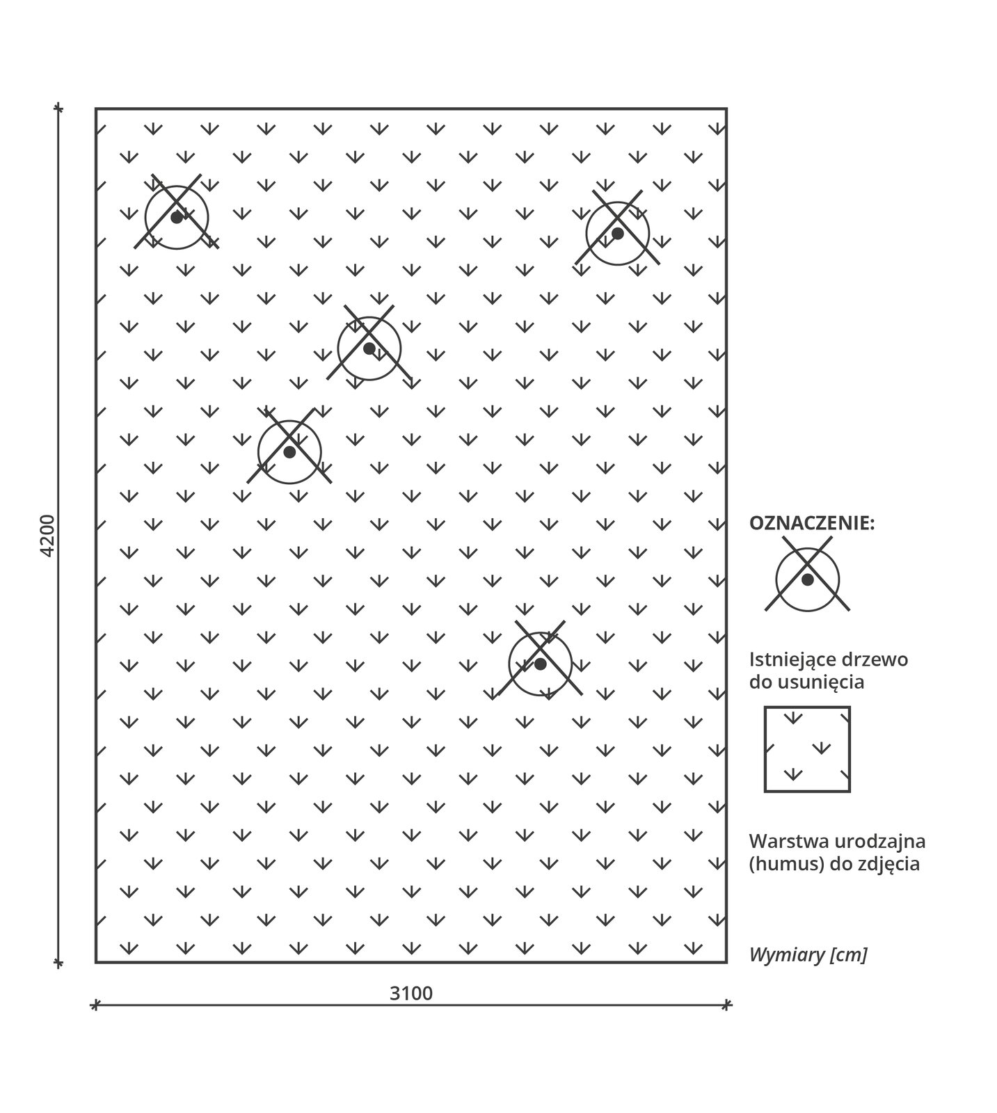 Grafika przedstawia rzut terenu pod projektowany budynek magazynowy. Na grafikę składa się prostokątne pole, w przestrzeni którego znajdują się równomiernie rozłożone oznaczenia symbolizujące warstwę urodzajną (humus) do zdjęcia. Na planie widać też pięć oznaczeń – okręgów z kropką w środku i przekreślonych dwiema krzyżującymi się liniami – symbolizujących istniejące drzewo do usunięcia. Podane są wymiary w cm – dłuższy bok ma 4200 cm, krótszy 3100 cm.
