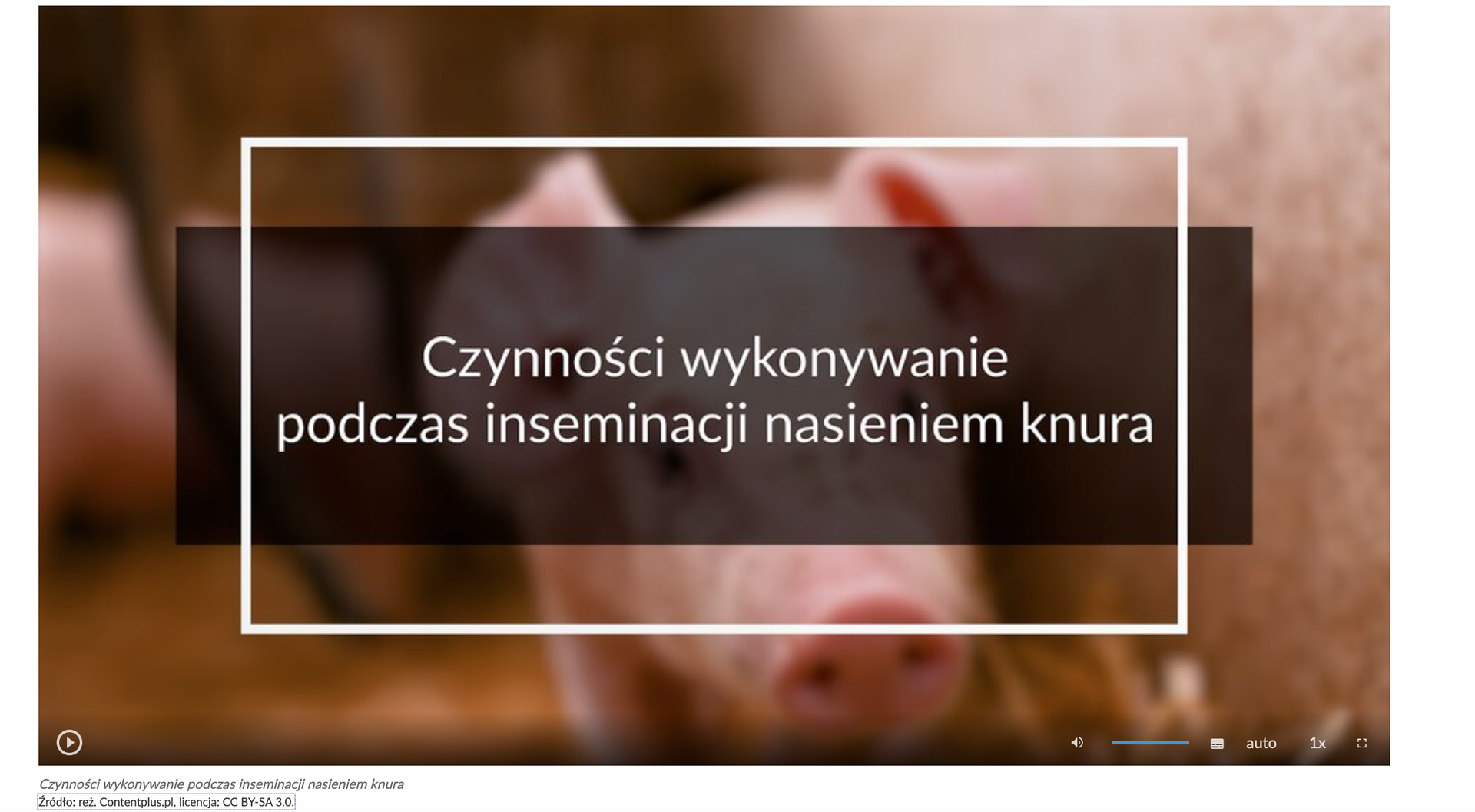 Grafika przedstawia widok okna odtwarzacza jednej z sekwencji. Na środku znajduje się napis: Czynności wykonywane podczas inseminacji nasieniem knura. Poniżej widoczny jest pasek z ikonami.