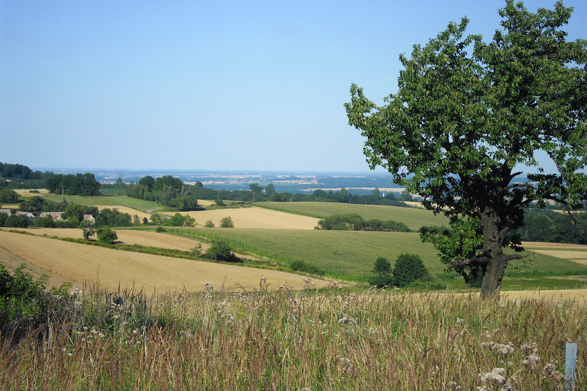 Fotografia druga prezentuje krajobraz pól i łąk strefy umiarkowanej.