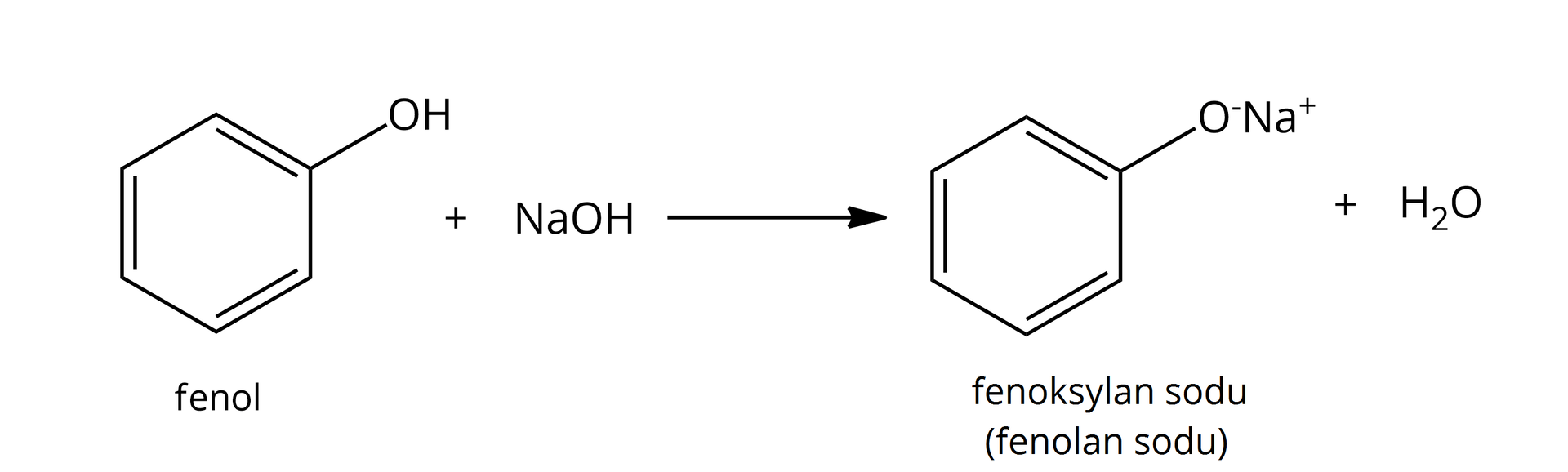 Ilustracja przedstawia reakcję fenolu z wodorotlenkiem sodu:  fenol: sześcioczłonowy pierścień aromatyczny z przyłączoną do jednego z atomów węgla grupą OH reaguje z NaOH i powstaje fenoksylan sodu (fenolan sodu): sześcioczłonowy pierścień aromatyczny z przyłączoną do jednego z atomów węgla grupą O-Na+ oraz cząsteczka wody.