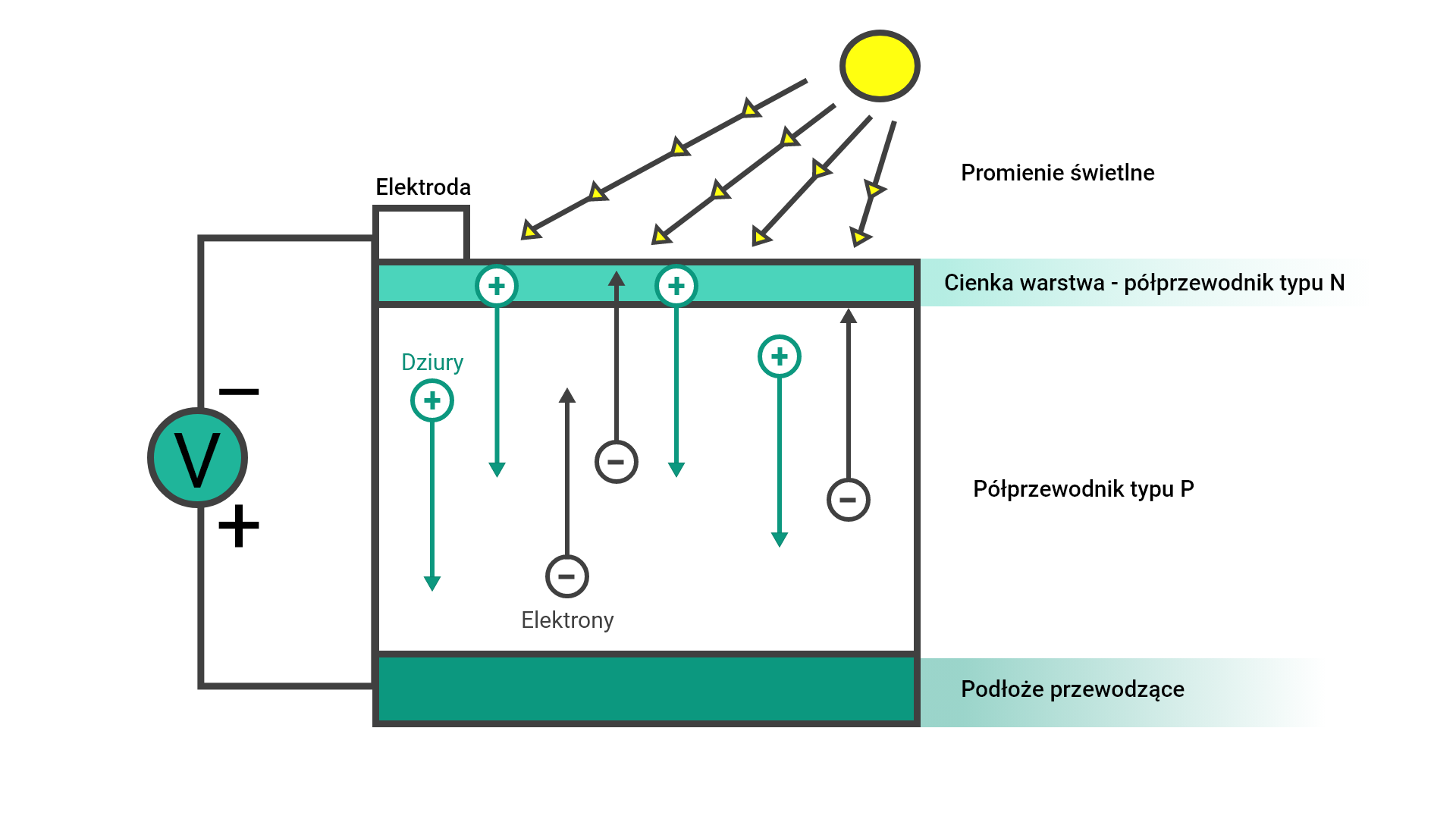 Ilustracja przedstawia elementy modelu fotoogniwa. W skład elementów wchodzi elektroda, dziury dodatnie, elektrony ujemne, stałe napięcie, podłoże przewodzące, półprzewodnik typu P, cienka warstwa półprzewodnika typu N  oraz światło. Fotoogniwo jest zbudowane z półprzewodnika i tworzy złącze p‑n, na które pada światło. Padające na złącze fotony o energii większej od szerokości przerwy energetycznej półprzewodnika powodują powstanie par elektron‑dziura. Pole elektryczne wewnątrz półprzewodnika, związane z obecnością złącza p‑n, przesuwa nośniki różnych rodzajów w różne strony. Elektrony trafiają do obszaru n, dziury do obszaru p. Rozdzielenie nośników ładunku w złączu powoduje powstanie na nim zewnętrznego napięcia elektrycznego.