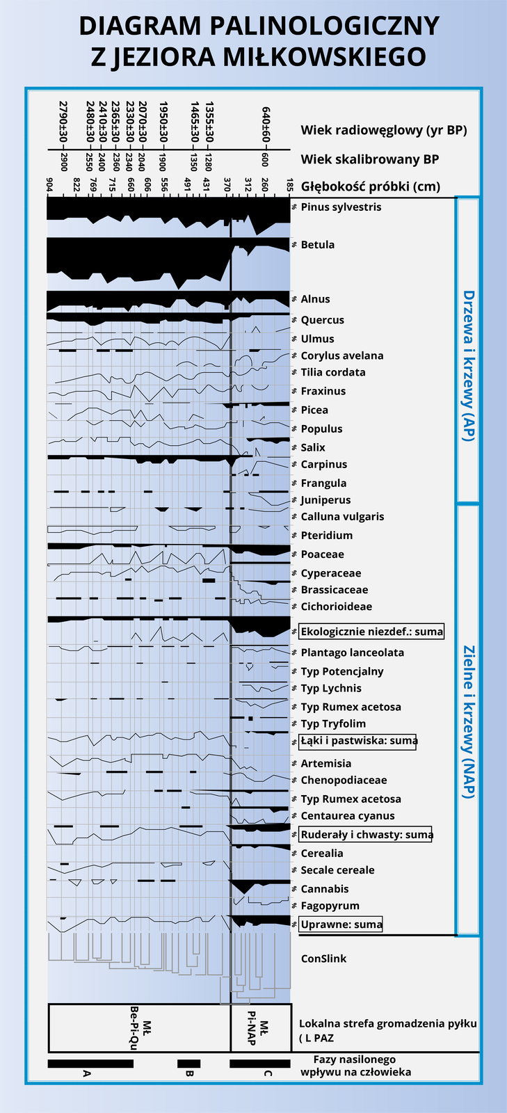 Na diagramie palinologicznym z jeziora Miłkowskiego znajduje się procentowy udział przemian roślinności w kontekście danych o lokalnym osadnictwie. Wykres jest podzielny na dwie kolumny. Pierwsza z nich znajdująca się po lewej stronie diagramu to procentowy udział ilości pyłku odpowiadającego danej roślinie, w kolumnie po prawej stronie jest łacińska nazwa rośliny. Rośliny są podzielone na dwie grupy. AP- Drzewa i krzewy oraz NAP- zielne i krzewy. Procentowy udział poszczególnych roślin  przedstawiono za pomocą wykresów liniowych. Wykresy od lewej przedstawiają również procentową zawartość rozłożoną w czasie. Na samym dole wykresów ułożonych jeden pod drugim są oznaczone okresy wzmożonego oddziaływania na rośliny. W osadach najwięcej pyłków pochodzi od roślin tworzących łąki i pastwiska, najmniej od roślin uprawnych. 