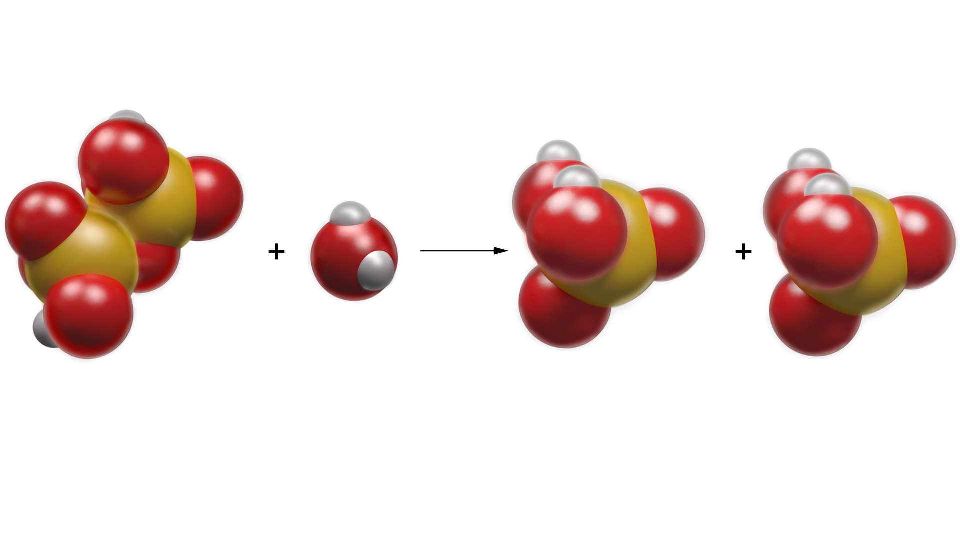 Ilustracja przedstawiająca model reakcji otrzymywania kwasu siarkowego(sześć) z kwasu heptaoksodisiarkowego. Żółta kulka symbolizuje atom siarki, czerwona atom tlenu, zaś szara, najmniejsza, atom wodoru. Cząsteczka kwasu heptaoksodisiarkowego składająca się z dwóch żółtych kulek atomów siarki, które połączone są atomem tlenu (czerwoną kulką), tworząc kąt rozwarty. Ponownie przywołując tetraedryczną strukturę, łączący oba atomy siarki atom tlenu znajduje się w jednym wspólnym narożu dla dwóch stykających się tetraedrów, w których środkach znajdują się atomy siarki. Ponadto każdy atom siarki związany jest z grupą hydroksylową O H oraz za pomocą wiązań podwójnych z dwoma atomami tlenu, przy czym wszystkie atom tlenu (czerwone kulki) znajdują się pozostałych w trzech narożach tetraedru dla danego atomu siarki. Dwie z czerwonych kulek przy różnych atomach siarki stykają się z małymi, szarymi kulkami - atomami wodoru, każda z jedną. Dodać cząsteczka wody składającą się z kulki czerwonej stykającej się z dwiema małymi szarymi kulkami, które razem tworzą kąt rozwarty. Strzałka w prawo, za strzałką dwie cząsteczki kwasu siarkowego(sześć). Każda składa się z atomu siarki połączonego wiązaniami podwójnymi z dwoma atomami tlenu oraz wiązaniami pojedynczymi z dwiema grupami hydroksylowymi O H. Atomy w cząsteczce rozmieszczone są na planie tetraedru, w którego centrum znajduje się żółta kulka połączona z czterema czerwonymi kulkami znajdującymi się w narożach tetraedru, z których dwie stykają się, każda z jedną małą kulką w kolorze szarym, która odpowiada atomowi wodoru.