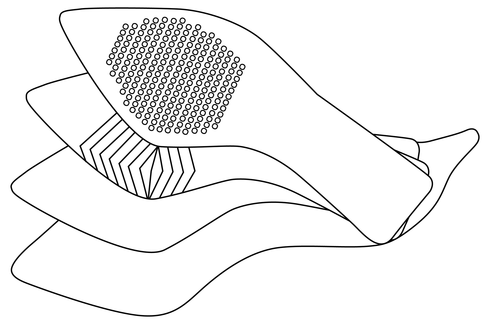 Grafika przedstawia cztery ułożone w kształt wachlarza podeszwy damskiego obuwia. Mają ostre czubki, są szerokie w miejscu palców, następnie zwężają się ku obcasowi.