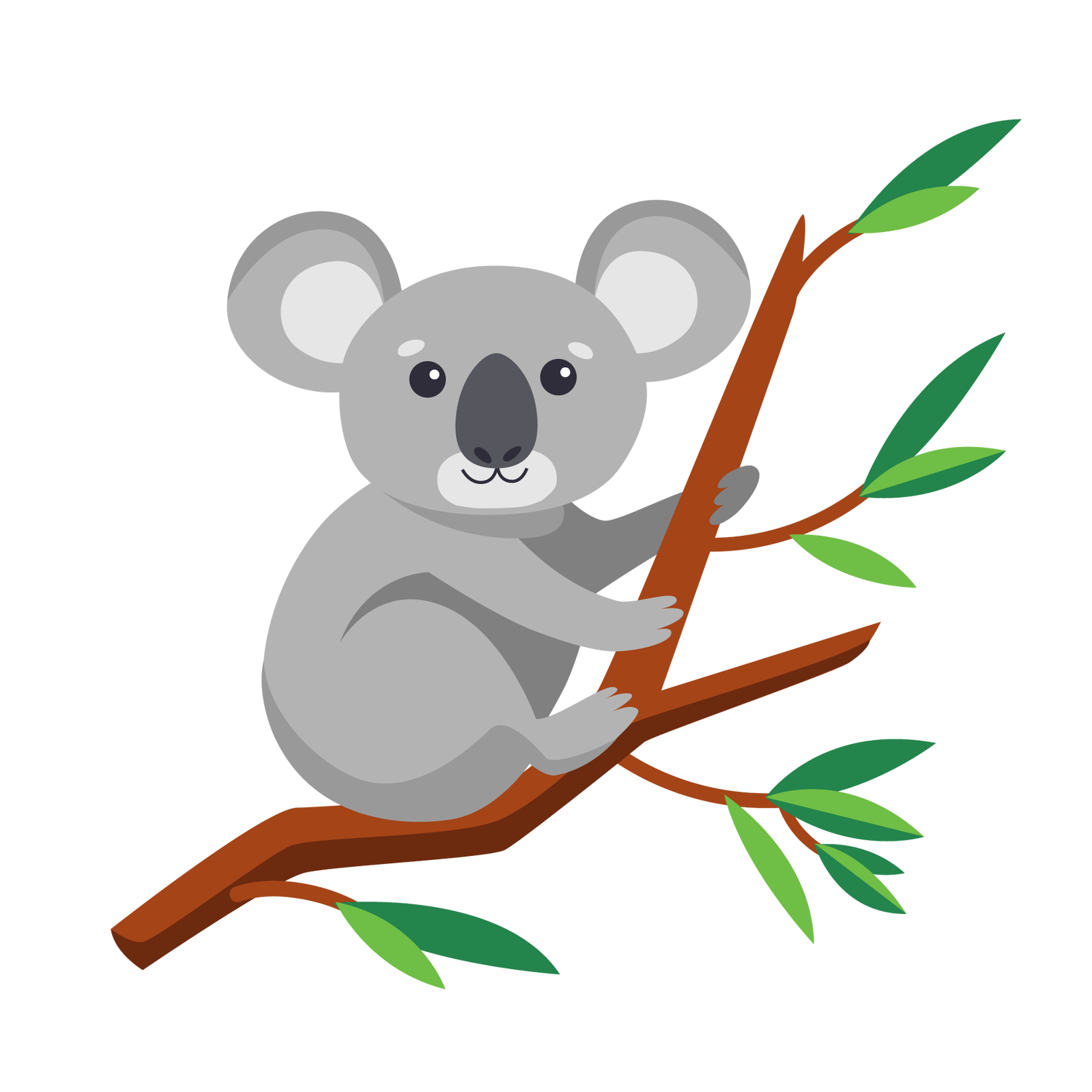 Ilustracja przedstawia misia koala siedzącego na brązowej gałęzi. Zwierzę pokryte jest szarym futrem, ma okrągłe uszy i małe łapki, z których wyrastają długie pazury. Na gałęzi rosną pojedyncze zielone liście.
