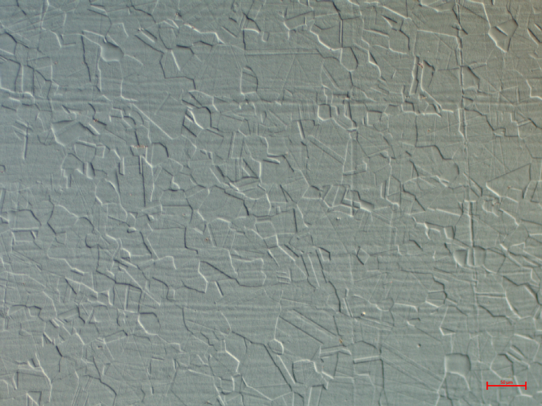 Mikrostruktura austenityczna
Powiększenie 50x