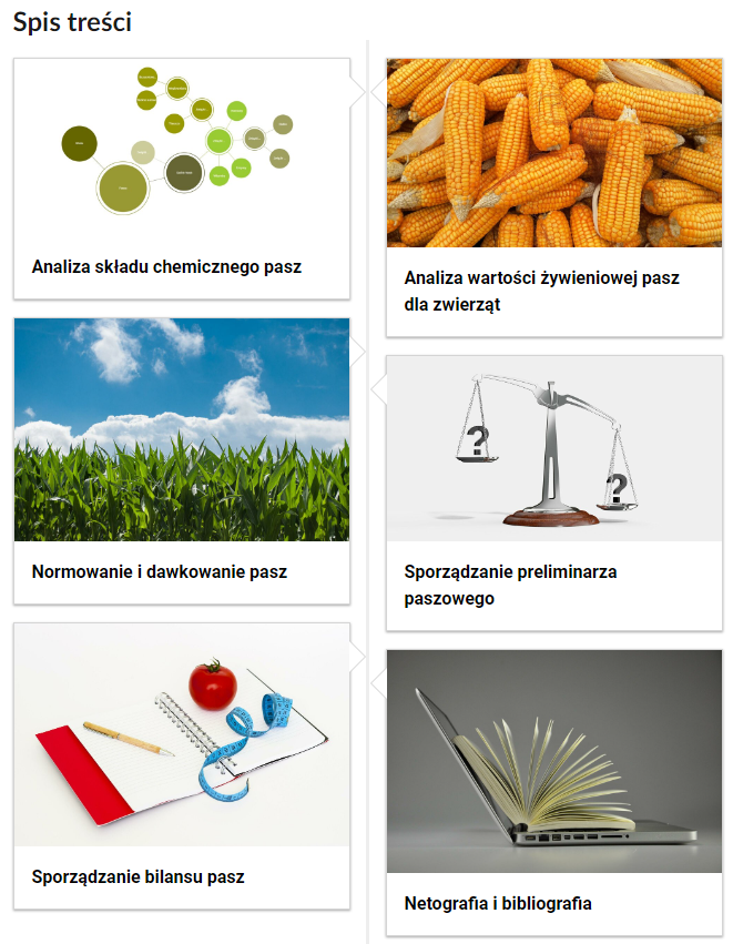 Grafika przedstawiająca spis treści z dostępnymi e‑bookami. Są to umieszczone w dwóch kolumnach kafelki. W ich wnętrzu znajduje się tytuł e‑booka oraz ilustracja go obrazująca. Pierwszy kafelek zawiera obrazek przedstawiający mapę myśli oraz napis: Analiza składu chemicznego pasz. Drugi kafelek zawiera obrazek przedstawiający ułożone na stosie kolby kukurydzy, a także napis: Analiza wartości żywieniowej pasz dla zwierząt. Trzeci kafelek zawiera obrazek przedstawiający kukurydzę rosnącą na polu, a także napis: Normowanie i dawkowanie pasz. Czwarty kafelek zawiera obrazek przedstawiający wagę, a także napis: Sporządzanie preliminarza paszowego. Piaty kafelek zawiera obrazek przedstawiający otwarty zeszyt, a także napis: Sporządzanie bilansu pasz. Szósty kafelek zawiera obrazek przedstawiający otwartą książkę, a także napis: Netografia i bibliografia.