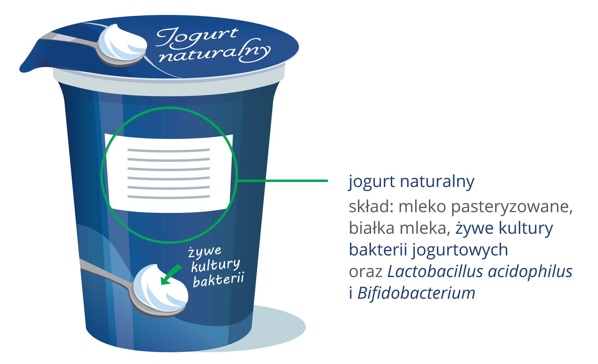 Ilustracja przedstawia niebieski kubeczek jogurtu naturalnego z narysowaną łyżeczką z białą zawartością. Została ona podpisana „żywe kultury bakterii”. Zielonym kółkiem oznaczono etykietę. Z prawej przepisano informacje z etykiety: jogurt naturalny, skład: mleko pasteryzowane, białka mleka, żywe kultury bakterii jogurtowych oraz Lactobacillus acidophilus i Bifidobacterium.
