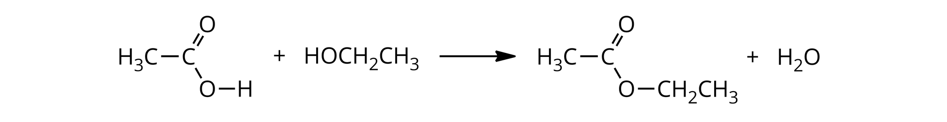 Ilustracja przedstawia równanie reakcji estryfikacji. Cząsteczka kwasu octowego zbudowana z grupy metylowej CH3 związanej z atomem węgla połączonym za pomocą wiązania podwójnego z atomem tlenu oraz za pomocą wiązania pojedynczego z grupą hydroksylową OH. Dodać cząsteczka etanolu zbudowana z grupy C2H5 połączonej z grupą hydroksylową OH. Strzałka w prawo, nad strzałką stężony kwas siarkowy, za strzałką cząsteczka octanu etylu zbudowanego z grupy CH3 połączonej z atomem węgla, który to związany jest za pomocą wiązania podwójnego z atomem tlenu oraz za pomocą wiązania pojedynczego z atomem drugim atomem tlenu podsawiony grupą C2H5. Dodać cząsteczka wody. 