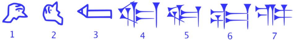 Ilustracja przedstawia siedem stadiów rozwoju wyrazu "głowa" . Patrząc od lewej strony pierwsze przedstawienia to symbole obrazkowe, przedstawiające schematyczny rysunek głowy. Trzecie stadium to znak graficzny przypominający strzałkę w lewą stronę. Kolejne fazy od czwartej do siódmej, to abstrakcyjne znaczki, złożone z elementów o kształtach przypominjących gwoździki z trójkątnym łepkiem ułożonych w pionie i poziomie.