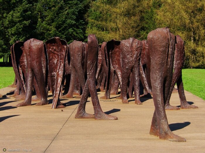 Instalację tworzy 36 rzeźb przedstawiających bezgłowe ludzkie postacie. Są ciemnobrązowe. Rzeźby składają się z torsów i nóg o masywnych stopach. Przedstawiono je w ruchu – ich nogi są lekko rozstawione. Anatomia postaci jest uproszczona. Ich kształt przypomina prostokątne bryły, do których dodano nogi. 