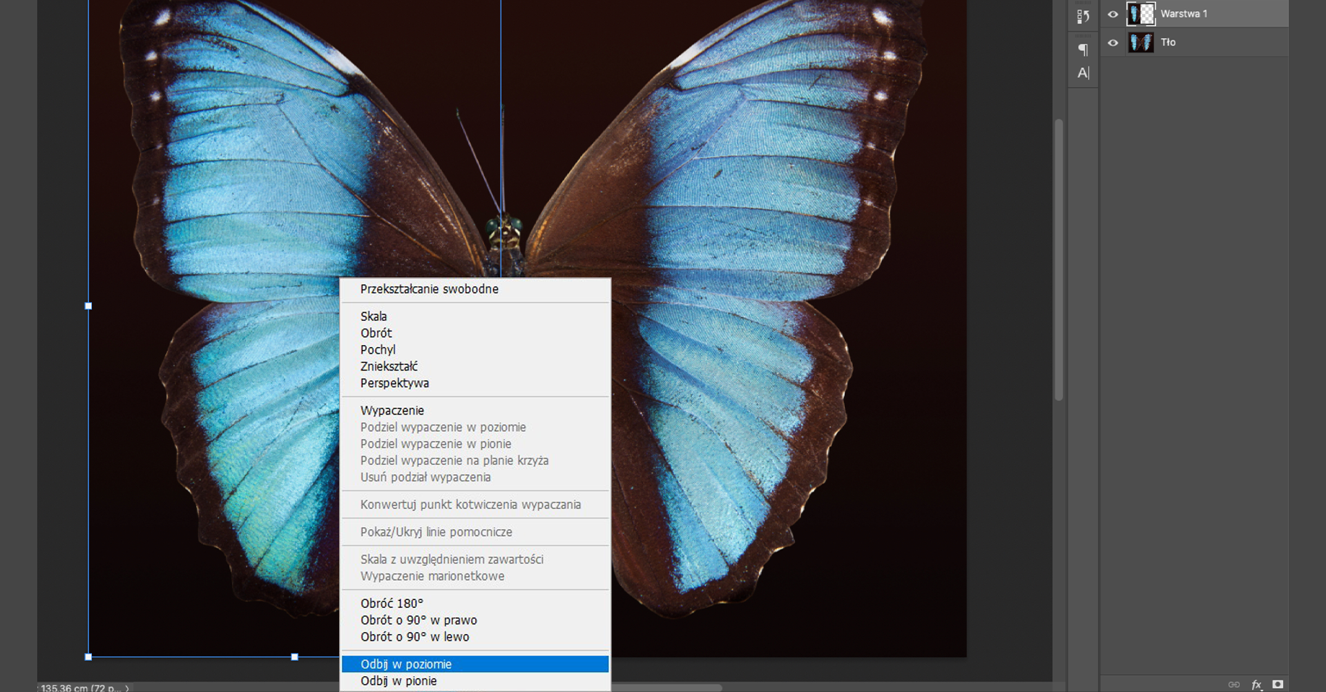 Ilustracja przedstawia okno programu. W obszarze roboczym jest obrazek motyla. Lewa połowa motyla jest otoczona niebieską prostokątną ramką. Na tle obrazka jest lista, z której wybrano opcję: Odbij w poziomie. Po prawej stronie jest panel dotyczący warstw. Tam dwie warstwy: Warstwa1 i Tło.