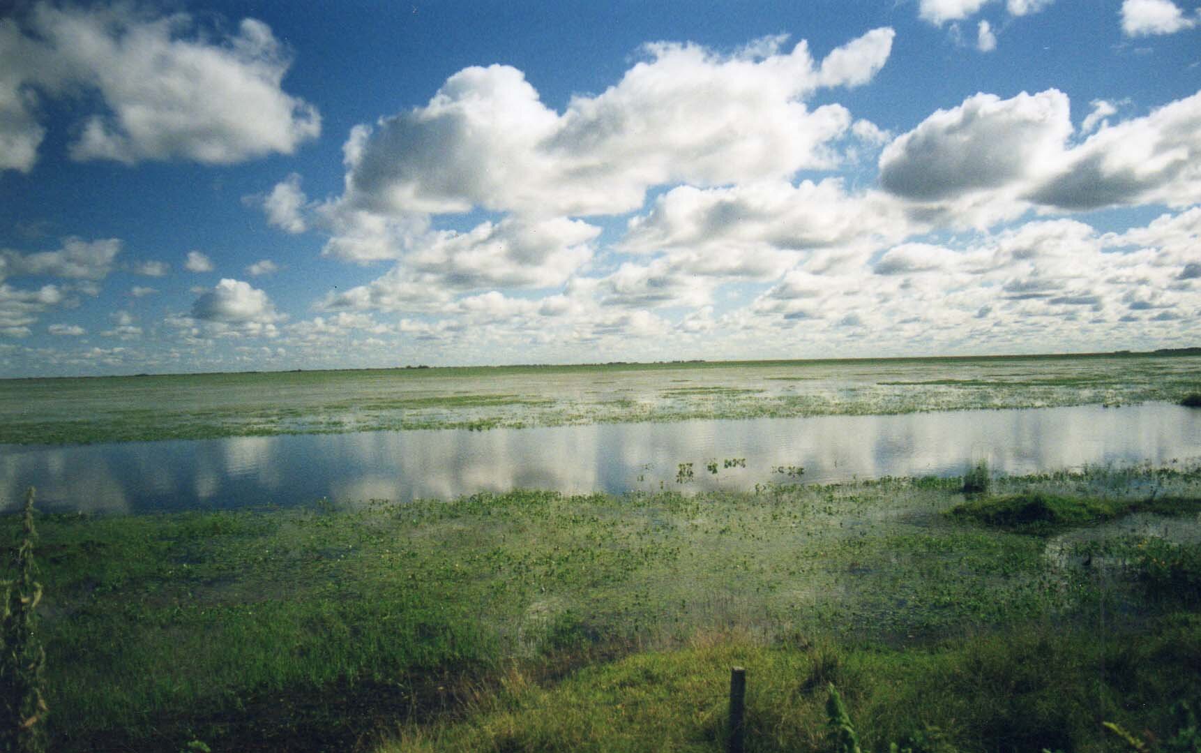 Zdjęcie przedstawia rozległy równinny podmokły teren na skutek gwałtownych opadów. Przez wodę gdzieniegdzie przebija się bujna trawa.