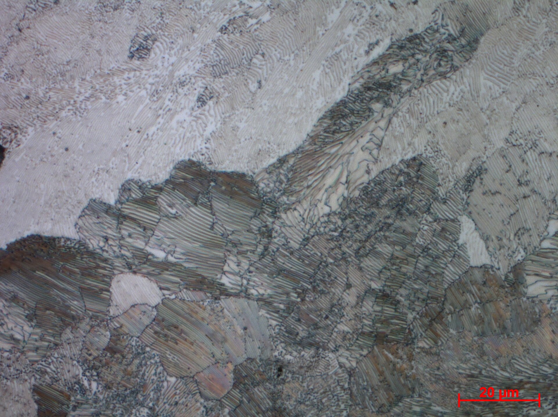 Ilustracja przedstawia mikrostrukturę stali o zawartości węgla 0,77%. W strukturze dominują odcienie szarości. W prawym dolnym rogu znajduje się skala, w postaci czerwonej linii, z podpisem 20 mikrometrów. Mikrostruktura składa się z ciemnych linii, którymi są granice ziaren. Ziarna to obszary o nieregularnych kształtach. W poprzek ziaren, przechodzą gęsto ułożone równoległe linie, charakterystyczne dla struktury perlitycznej.