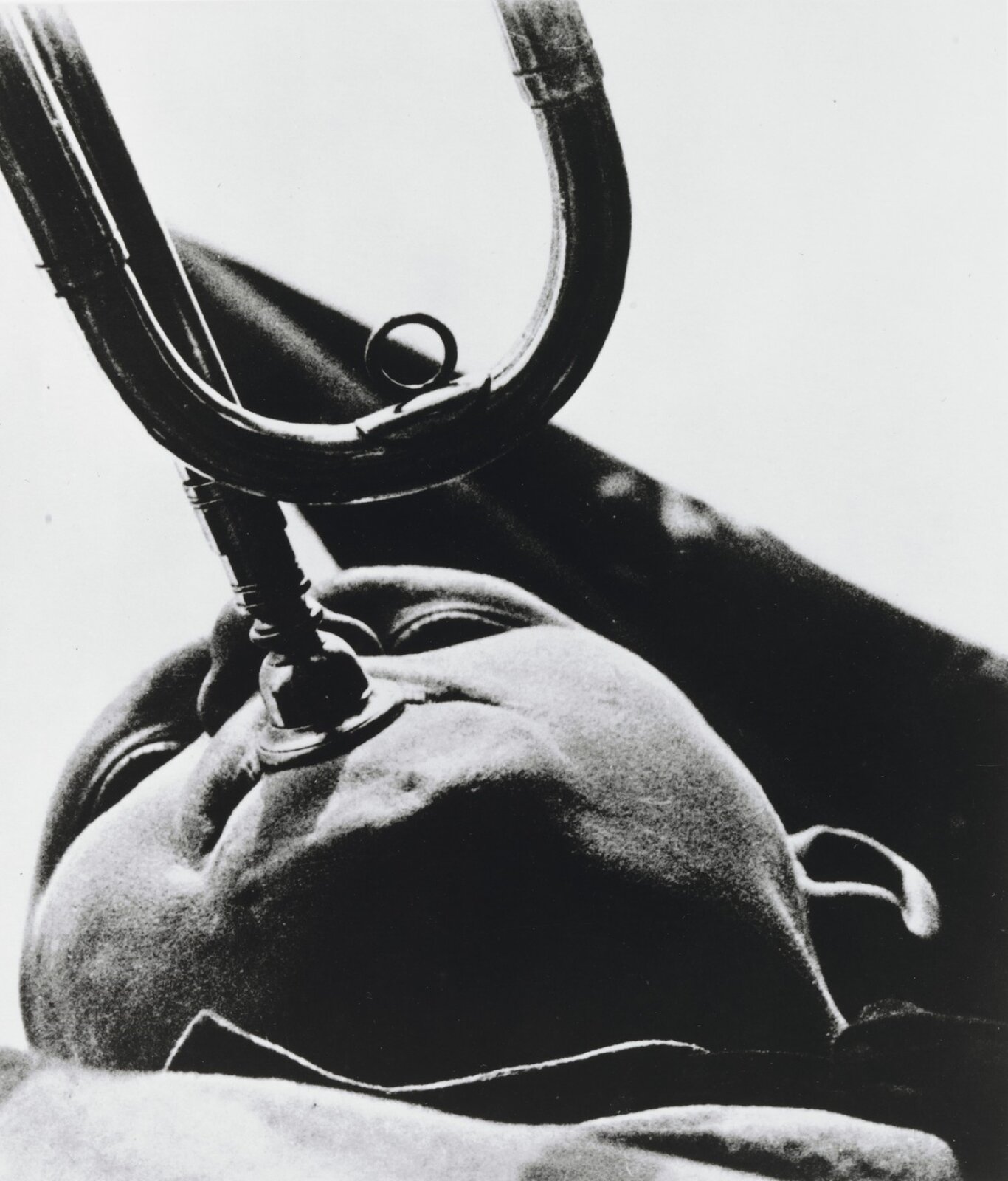 Praca Sherrie Levine pod tytułem „Według Rodczenki” przedstawia fotografię wykonaną w stylu postmodernistycznym. Autorka uwieczniła głowę mężczyzny, który dmucha w trąbkę. Jego włosy są niewidoczne, a głowa przedstawiona została prawie w pozycji horyzontalnej – mężczyzna odchylił ją do tyłu. Fotografia jest czarno‑biała. Praca wykonana jest z dolnej perspektywy.