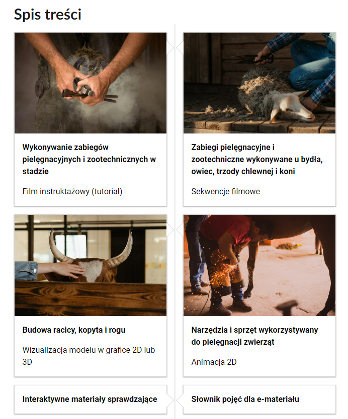 Grafika przedstawia spis treści tej lekcji. Przedstawiono sześć kafelków. Na czterech z nich umieszczono tytuł materiału, jego rodzaj oraz ilustrację powiązaną z jego tematem. Na pozostałych kafelkach umieszczono jedynie rodzaj materiału. Pierwszy kafelek zatytułowano: Wykonywanie zabiegów pielęgnacyjnych i zootechnicznych w stadzie. Film instruktażowy (tutorial). Posiada on ilustrację przedstawiającą dwie ręce męskie trzymające narzędzia kowalskie. Drugi kafelek zatytułowano: Zabiegi pielęgnacyjne i zootechniczne wykonywane u bydła, owiec, trzody chlewnej i koni. Sekwencje filmowe. Posiada on ilustrację przedstawiającą osobę klęczącą przy leżącej owcy i strzygącą jej sierść. Trzeci kafelek zatytułowano: Budowa racicy, kopyta i rogu. Wizualizacja modelu w grafice 2D lub 3D. Posiada on ilustrację przedstawiającą głowę krowy z rogami wystającą zza drewnianego ogrodzenia. Z lewej strony widać rękę głaszczącą zwierzę po łbie. kafelek zatytułowano: Narzędzia i sprzęt wykorzystywany do pielęgnacji zwierząt. Animacja 2D. Posiada on ilustrację przedstawiającą mężczyznę pochylonego nad trzymaną nogą końską i szlifującego coś. Z trzymanego przez niego urządzenia lecą iskry.. Piąty kafelek zatytułowano: Interaktywne materiały sprawdzające. Szósty kafelek zatytułowano: Słownik pojęć dla e‑materiału.