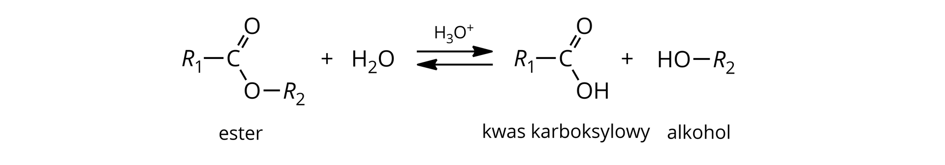 Ilustracja przedstawiająca schemat reakcji hydrolizy kwasowej estru. Cząsteczka estru zbudowana z grupy R1 związanej z atomem węgla połączonym za pomocą wiązania podwójnego z atomem tlenu i za pomocą wiązania pojedynczego z drugim atomem tlenu podstawionym grupą R2. Dodać cząsteczka wody. Strzałki równowagowe, nad strzałkami kation H3O+. Za strzałkami cząsteczka kwasu karboksylowego zbudowanego z grupy R1 związanej z atomem węgla połączonym za pomocą wiązania podwójnego z atomem tlenu oraz za pomocą wiązania pojedynczego z grupą hydroksylową OH. Dodać cząsteczka alkoholu zbudowana z podstawnika R2 połączonego z grupą hydroksylową OH.