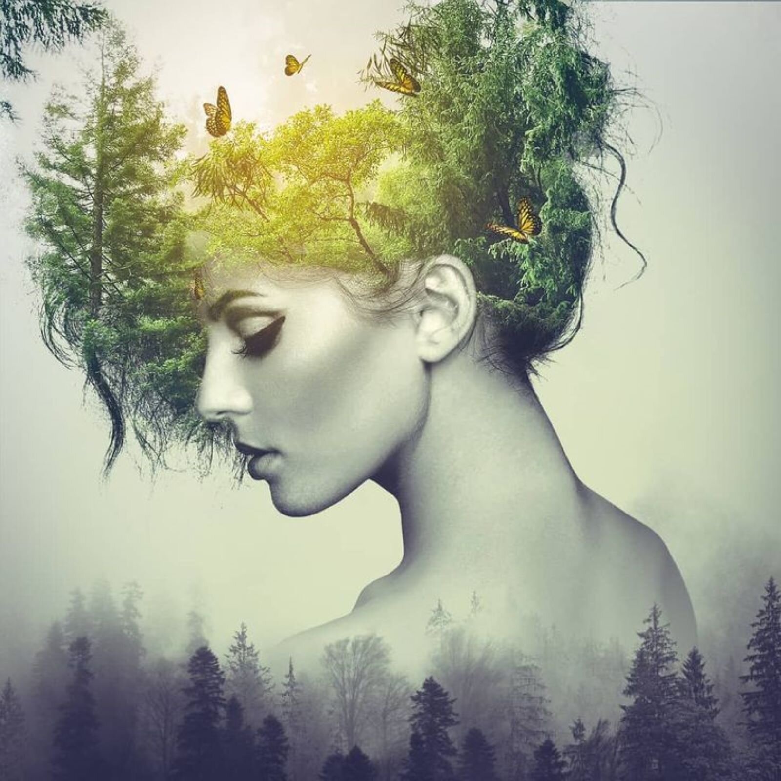 Zdjęcie przedstawia głowę i ramiona kobiety wyrastające z iglastego lasu. Kobieta jest odwrócona bokiem, ma nagie ramiona i upięte wysoko włosy a las przenika jej głowę - jest to fotomontaż.