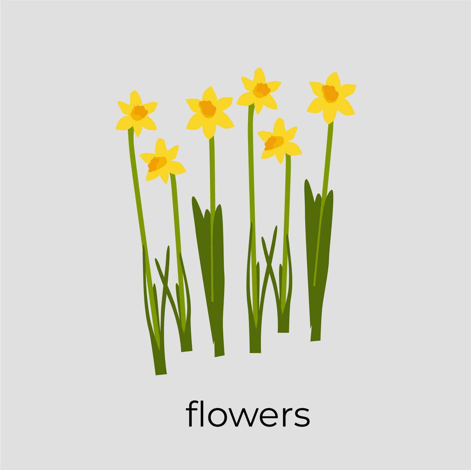 Ilustracja przedstawia sześć żółtych kwiatów, wyrastających z podłoża na długich zielonych łodygach. Z łodygi odchodzą podłużne liście. Pod kwiatami widnieje podpis: flowers.