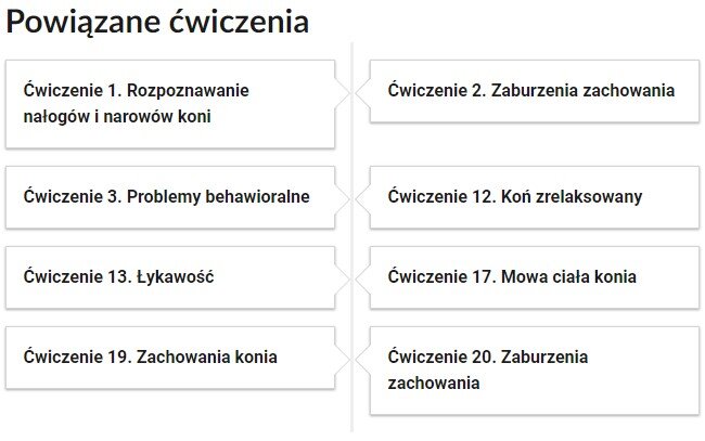 Grafika przedstawia widok przykładowego przycisku ćwiczeń powiązanych z danym multimedium. Na samej górze umieszczony jest nagłówek: Powiązane ćwiczenia. Pod nim znajduje się pionowa oś czasu. Składa się z ośmiu kafelków. Cztery z nich umieszczony jest po lewej stronie osi, natomiast pozostałe cztery po prawej. W kafelkach zamieszczona został informacja na temat numeru powiązanego ćwiczenia, a także jego tytułu. Pierwszy kafelek zawiera napis: Ćwiczenie pierwsze. Rozpoznawanie nałogów i narowów koni. Drugi kafelek zawiera napis: Ćwiczenie drugie. Zaburzenia zachowania. Trzeci kafelek zawiera napis: Ćwiczenie trzecie. Problemy behawioralne. Czwarty kafelek zawiera napis: Ćwiczenie dwunaste. Koń zrelaksowany. Piaty kafelek zawiera napis: Ćwiczenie trzynaste. Łykawość. Szósty kafelek zawiera napis: Ćwiczenie siedemnaste. Mowa ciała koni. Siódmy kafelek zawiera napis: Ćwiczenie dziewiętnaste. Zachowania konia. Ósmy kafelek zawiera napis: Ćwiczenie dwudzieste. Zaburzenia zachowania.