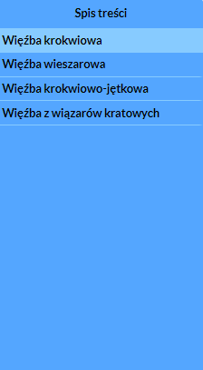 Przykładowy wygląd spisu treści