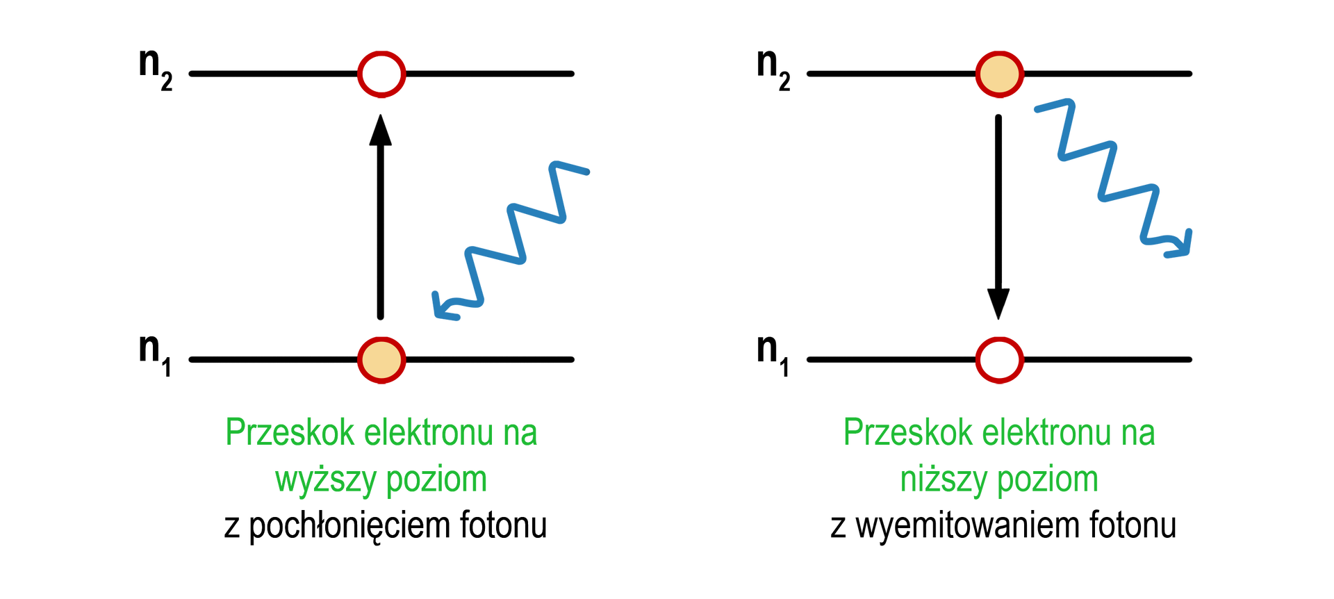 Ilustracja przedstawia stan podstawowy i wzbudzony. W obu częściach po dwie poziome, równoległe linie opisane jako n1, niższa symbolizująca niższy poziom energetyczny i n2, linia znajdująca się wyżej i symbolizująca wyższy poziom energetyczny. W lewej części ilustracji przedstawiono przeskok elektronu na wyższy poziom energetyczny na skutek pochłonięcia fotonu. Elektron symbolizuje kulka znajdująca się początkowo na linii n1 w jej stronę skierowana jest pofalowana strzałka symbolizująca foton, wreszcie od elektronu strzałka do poziomu n2, na którym znajduje się elektron po pochłonięciu fotonu. W prawej części ilustracji przedstawiono schematycznie sytuację odwrotną. Początkowo elektron znajduje się na wyższym poziomie n2. Na skutek emisji, wyemitowania fotonu, symbolizowanego przez pofalowaną strzałkę, dochodzi do przeskoku elektronu na niższy poziom energetyczny n1.