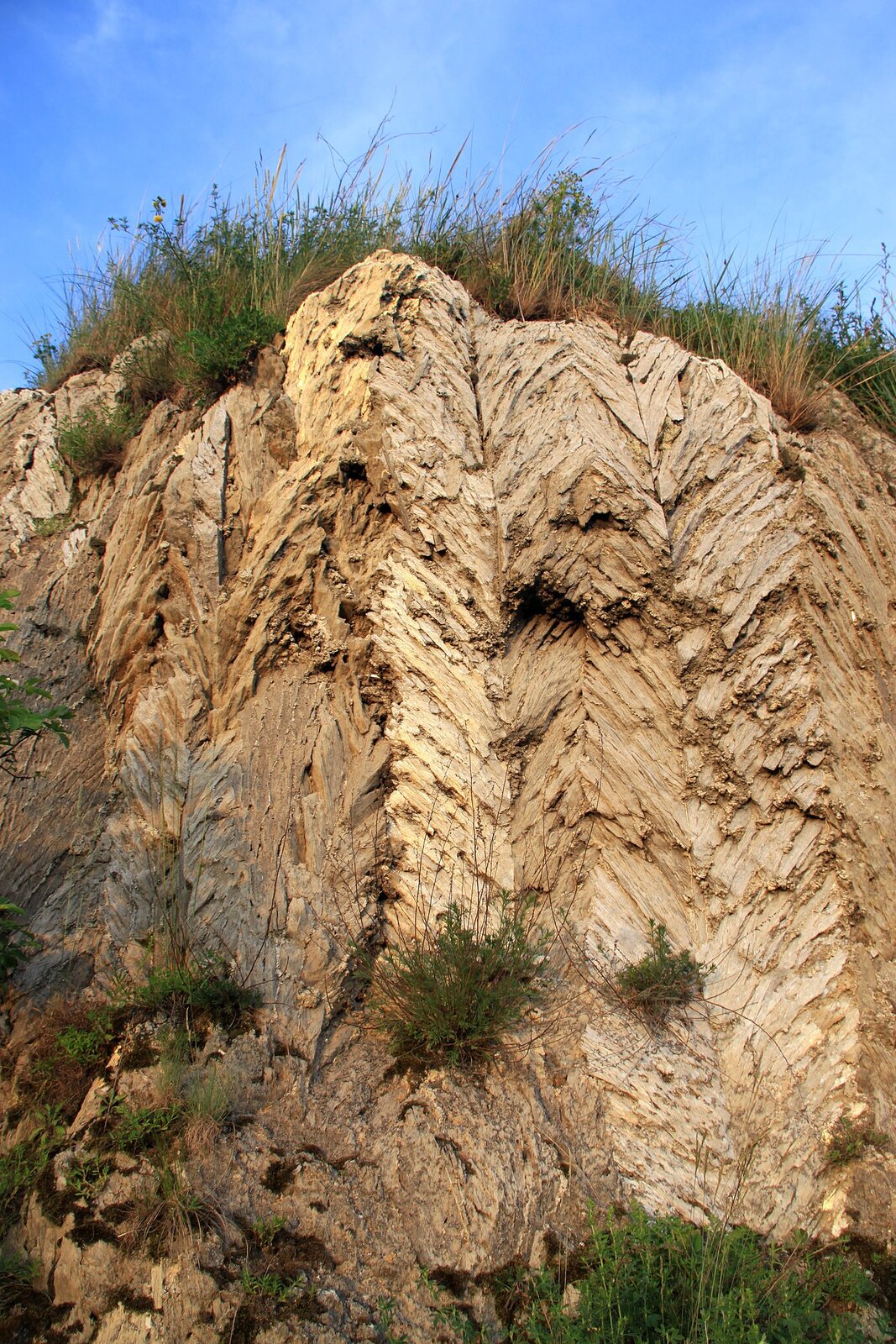 Na zdjęciu widoczna jest skała gipsowa, która tworzy ścianę wzniesienia. Ściana jest jasnoszara, ma nieregularną, chropowatą strukturę, która układa się w charakterystyczną jodełkę. Na szczycie wzniesienia rosną trawy.