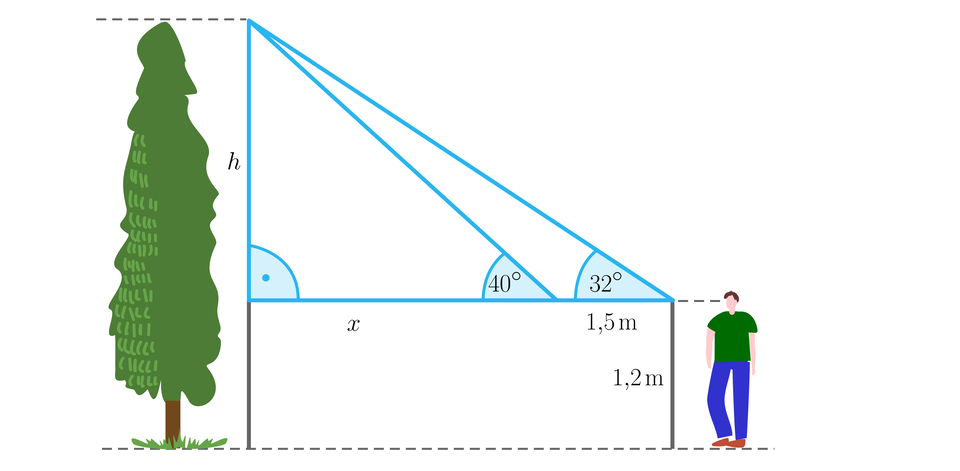 Ilustracja przedstawia drzewo i Jacka. Oznaczono też trójkąt według treści zadania. h to wysokość drzewa od poziomu wysokości oczu Jacka, czyli 1,2 m od podłoża. Przeciwprostokątna pierwsza jest nachylona pod kątem 32 stopni do podłoża. Druga, znajdująca się 1,5 m wcześniej jest nachylona pod kątem 40 stopni. 