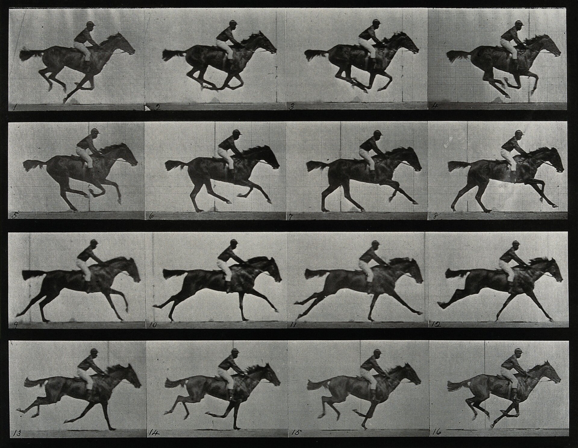 Ilustracja przedstawia sekwencję fotografii Eadweard'a Muybridge'a, „Galopujące konie w ruchu”. Ukazuje poszczególne fazy ruchu jeźdźca na koniu. Ilustracja podzielona jest na kadry.