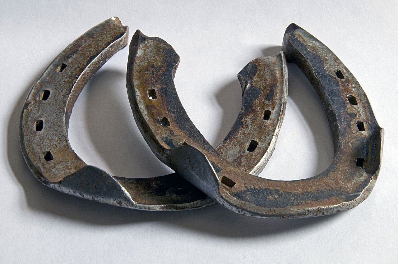 Zdjęcie przedstawia podkowę z jednym kapturkiem i podkowę z dwoma kapturkami. Podkowa to metalowy element w kształcie łuku. Podkowa z jednym kapturkiem posiada na brzegu jedną zagiętą do wewnątrz blaszkę o półokrągłym kształcie. Podkowa z dwoma kapturkami posiada dwie takie blaszki. 