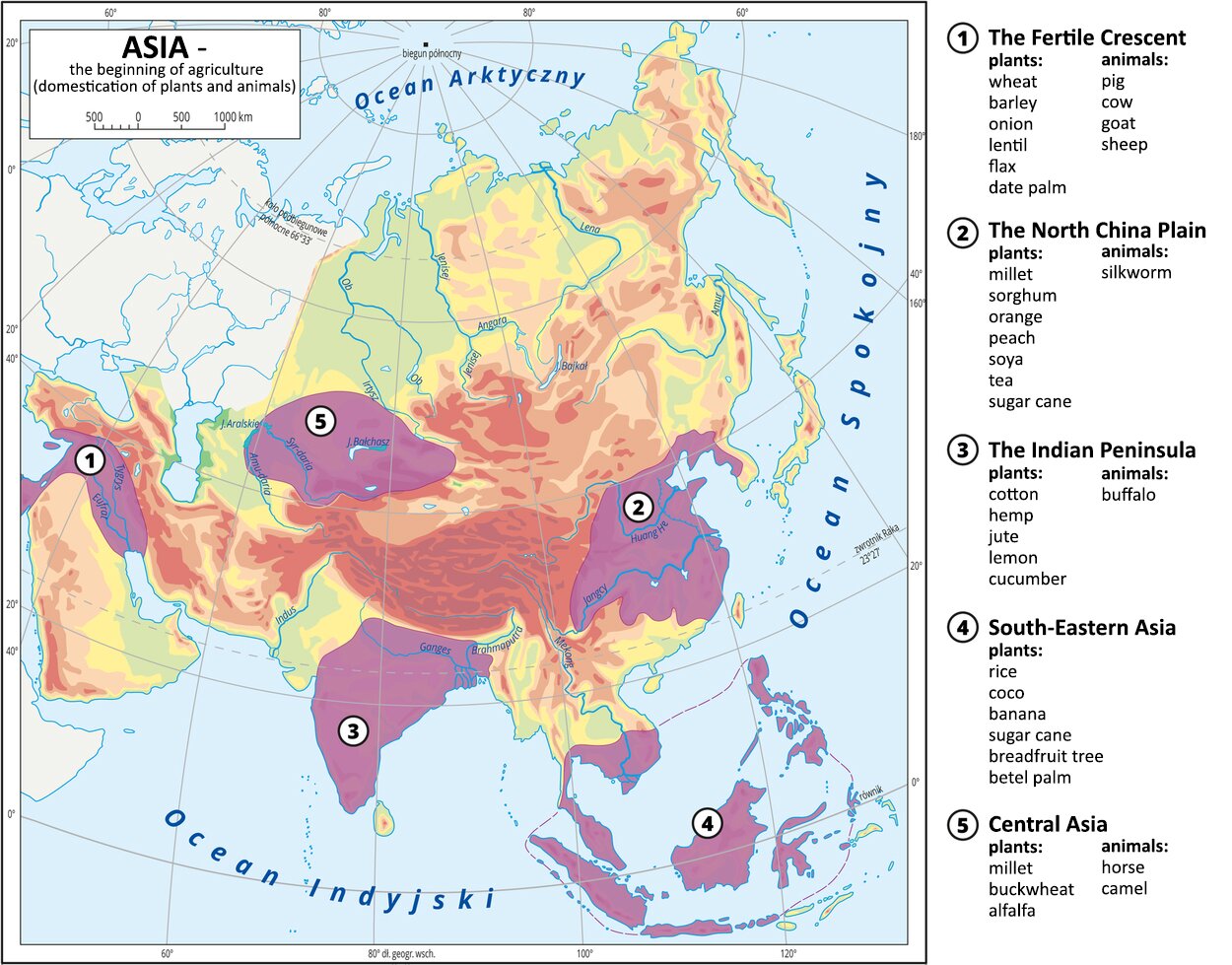 Ilustracja przedstawia mapę Azji z podziałem na 5 regionów i opisem jaka fauna i flora w nich występuje wraz z początkiem rolnictwa. Asia - the beginning of agriculture (domestication of plants and animals). W zachodniej części Azji. The fertile crescent. Plants: wheat, barley, onion, lentil, flax, date palm. Animals: pig, cow, goat, sheep. We wschodniej części Azji. The North China Plain. Plants: millet, sorghum, orange, peach, soya, tea, sugar cane. Animals: silkworm. W południowej części Azji. The Indian Peninsula. Plants: cotton, hemp, jute, lemon, cucumber. Animals: buffalo. We wschodnio-południowej części Azji. South-Eastern Asia. Plants: rice, coco, banana, sugar cane, breadfruit tree, betel palm. W centralnej części Azji. Central Asia. Plants: millet, buckwheat, alfalfa. Animals: horse, camel. 