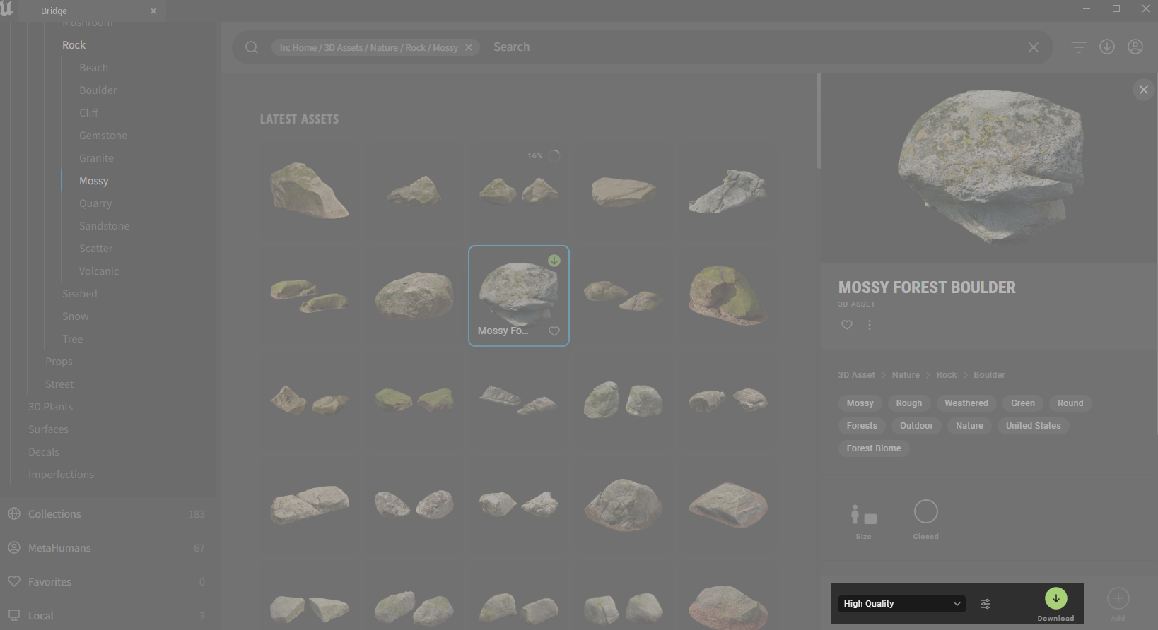 Ilustracja przedstawia okno programu. Z listy po lewej stronie wybrano Moss. W obszarze roboczym są różne opcje związane z mchem. 