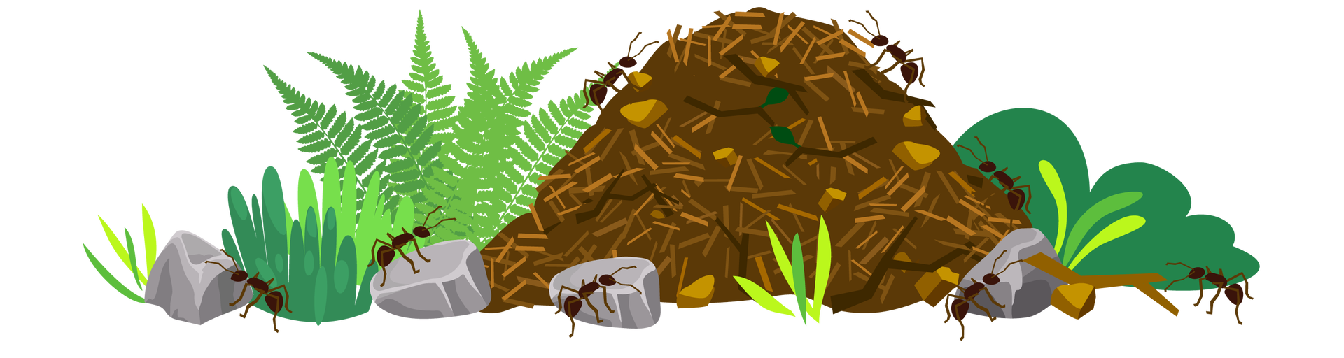 Ilustracja przedstawia mrowisko, dookoła którego chodzi kilka mrówek. Po lewej stronie mrowiska rośnie zielona trawa i paproć, a po prawej niewielki krzew. W kilku miejscach leżą pojedyncze szare kamienie.