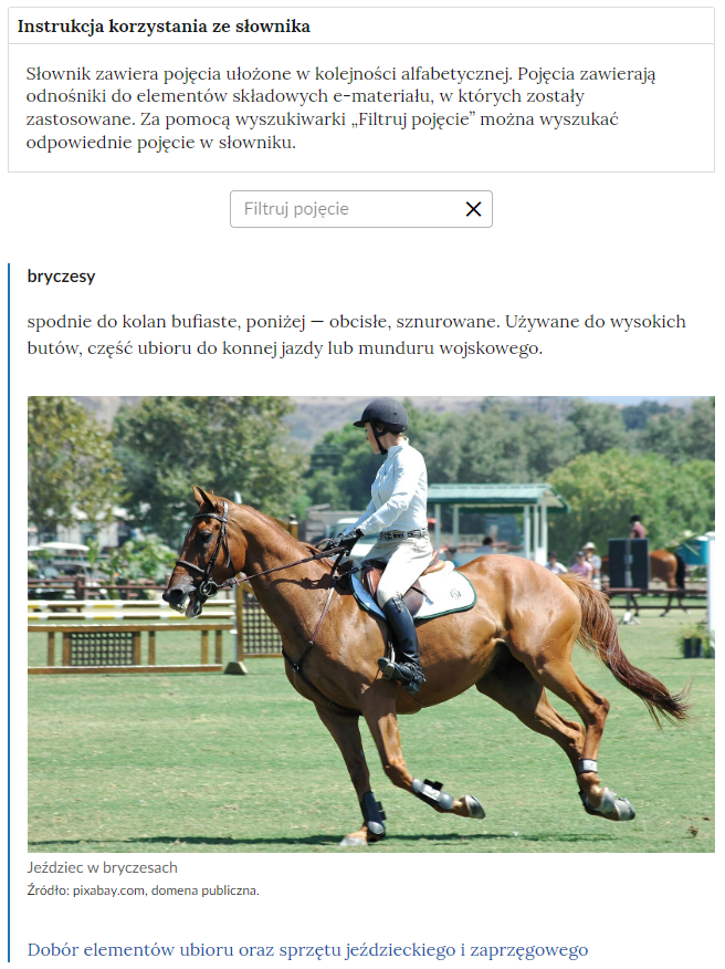 Grafika przedstawia przykładową ilustrację z fragmentem słownika i częścią umożliwiającą filtrację pojęć. Na samej górze umieszczona jest instrukcja korzystania ze słownika. Zawarta jest w niej następująca informacja: „Słownik zawiera pojęcia ułożone w kolejności alfabetycznej. Pojęcia zawierają odnośniki do elementów składowych e‑materiału, w których zostały zastosowane. Za pomocą wyszukiwarki „Filtruj pojęcie” można wyszukać odpowiednie pojęcie w słowniku”. Pod instrukcją korzystania ze słownika umieszczone zostało pole w kształcie prostokąta. Wewnątrz znajduje się napis: filtruj pojęcie oraz umieszczony z boku przycisk w kształcie krzyżyka. Na samym dole znajduje się pierwsze pojęcie ze słownika. Dotyczy ono bryczesów. 