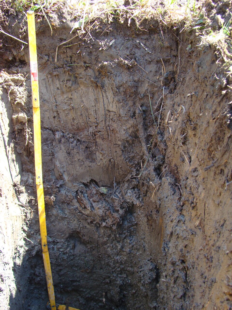 Zdjęcie przedstawia wykopany dół odsłaniający warstwy gleby. Gleba jest jasnobrązowa, gliniasta, niejednolita.  