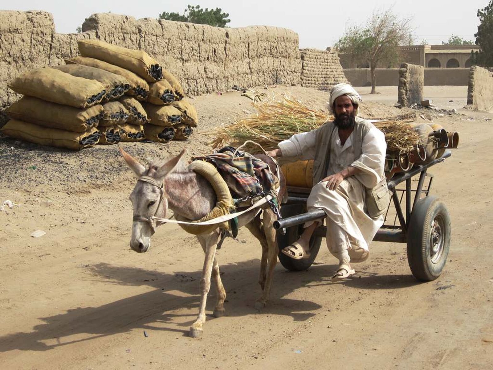 Fotografia przedstawia mężczyznę siedzącego na dyszlu przyczepki ciągniętej przez muła. Zwierzę niewielkich rozmiarów, około metrowej wysokości, chude. Na przyczepce załadowane wazy i ścięte rośliny. Droga piaszczysta.