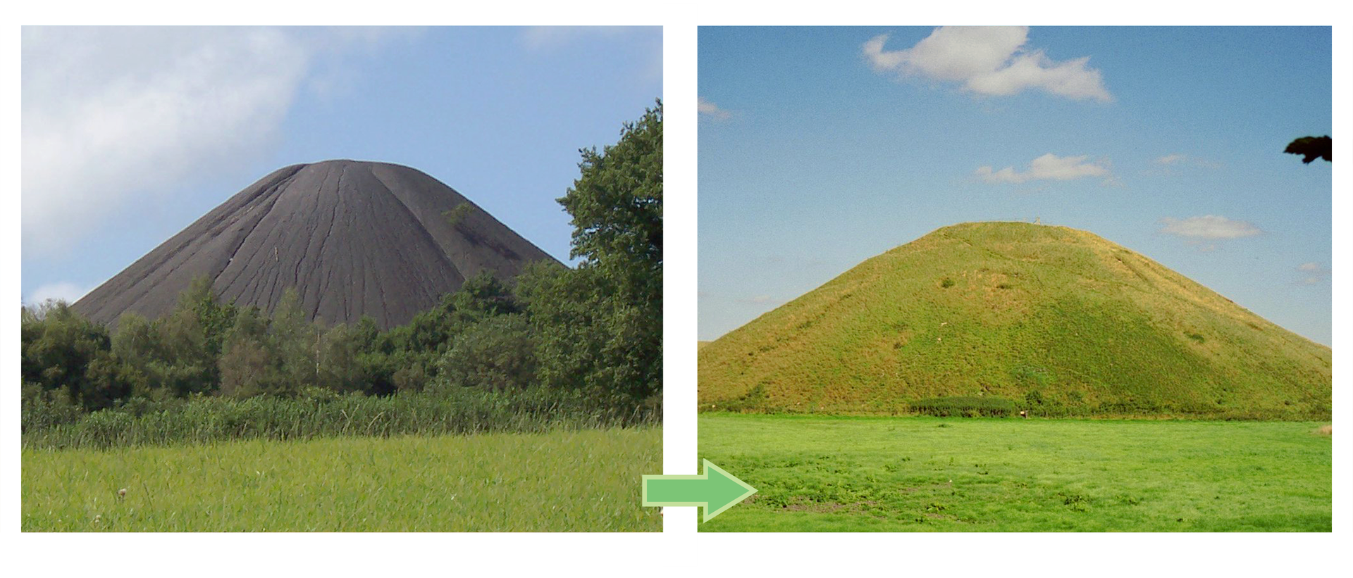 Fotografia po lewej stronie ukazuje wysoka czarną hałdę. Obok fotografia tej samej hałdy porośnięta trawą i innymi roślinami zielnymi.