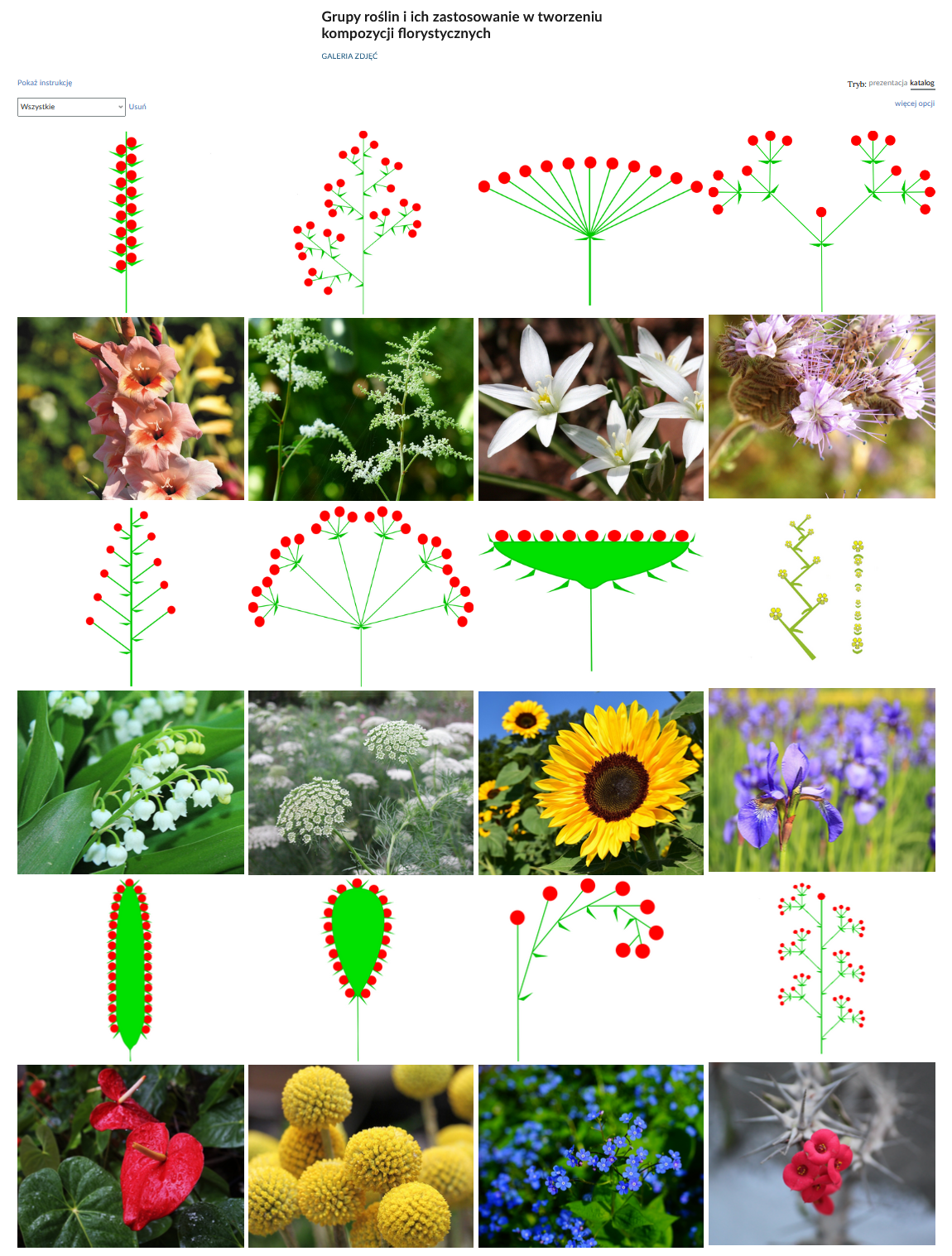 Grafika przedstawia przykładowy widok galerii zdjęć. Znajdują się tu dwadzieścia cztery kafelki ze zdjęciami przedstawiającymi różne grupy roślin. Nad kafelkami, w lewym górnym rogu znajduje się przycisk: Pokaż instrukcję, a pod nim lista rozwijana i w niej hasło: Wszystkie. W prawym górnym rogu nad kafelkami znajduje się tryb: prezentacja katalog, a pod nim przycisk: Więcej opcji.